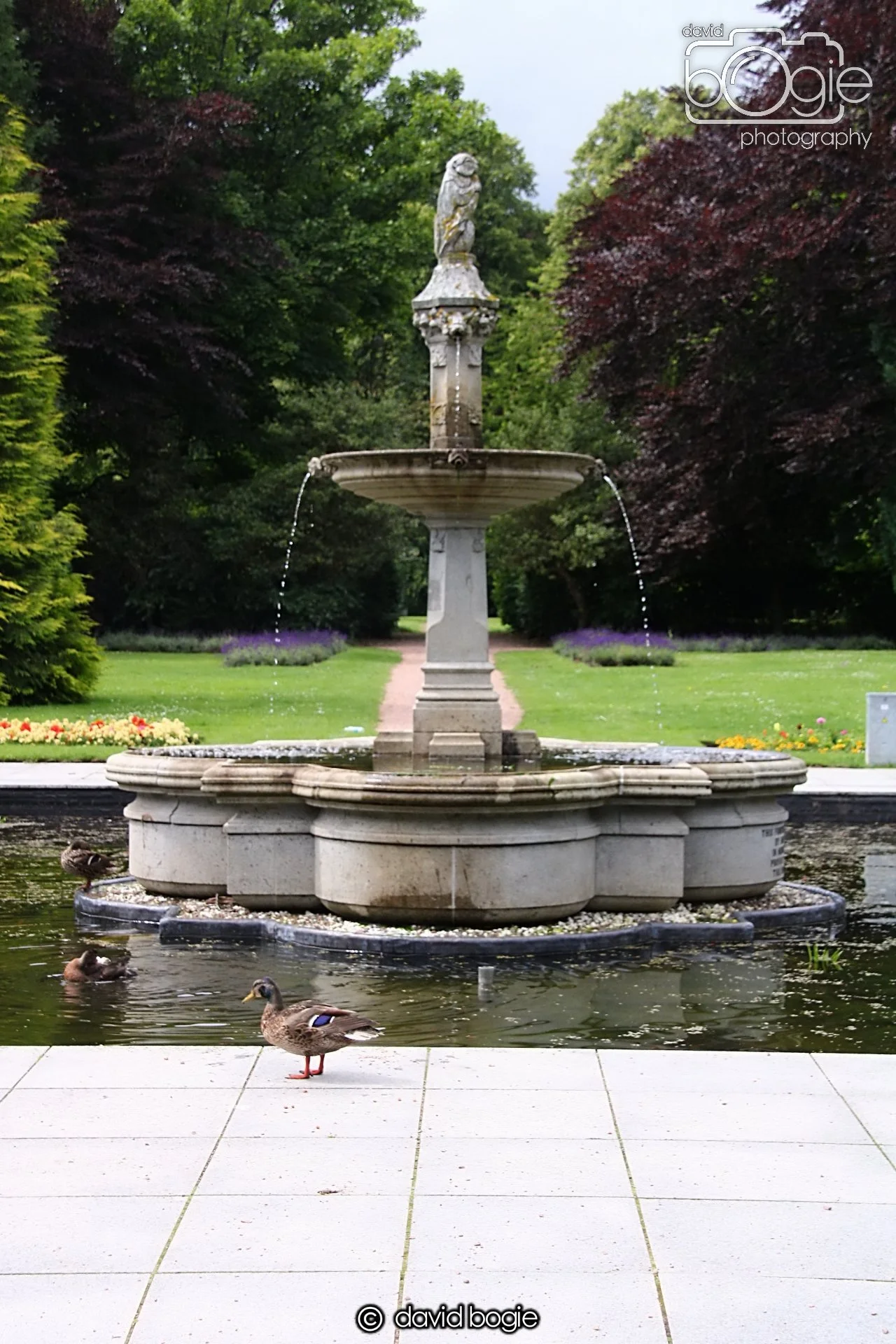 20240722 133606 Beveridge 0089.JPG