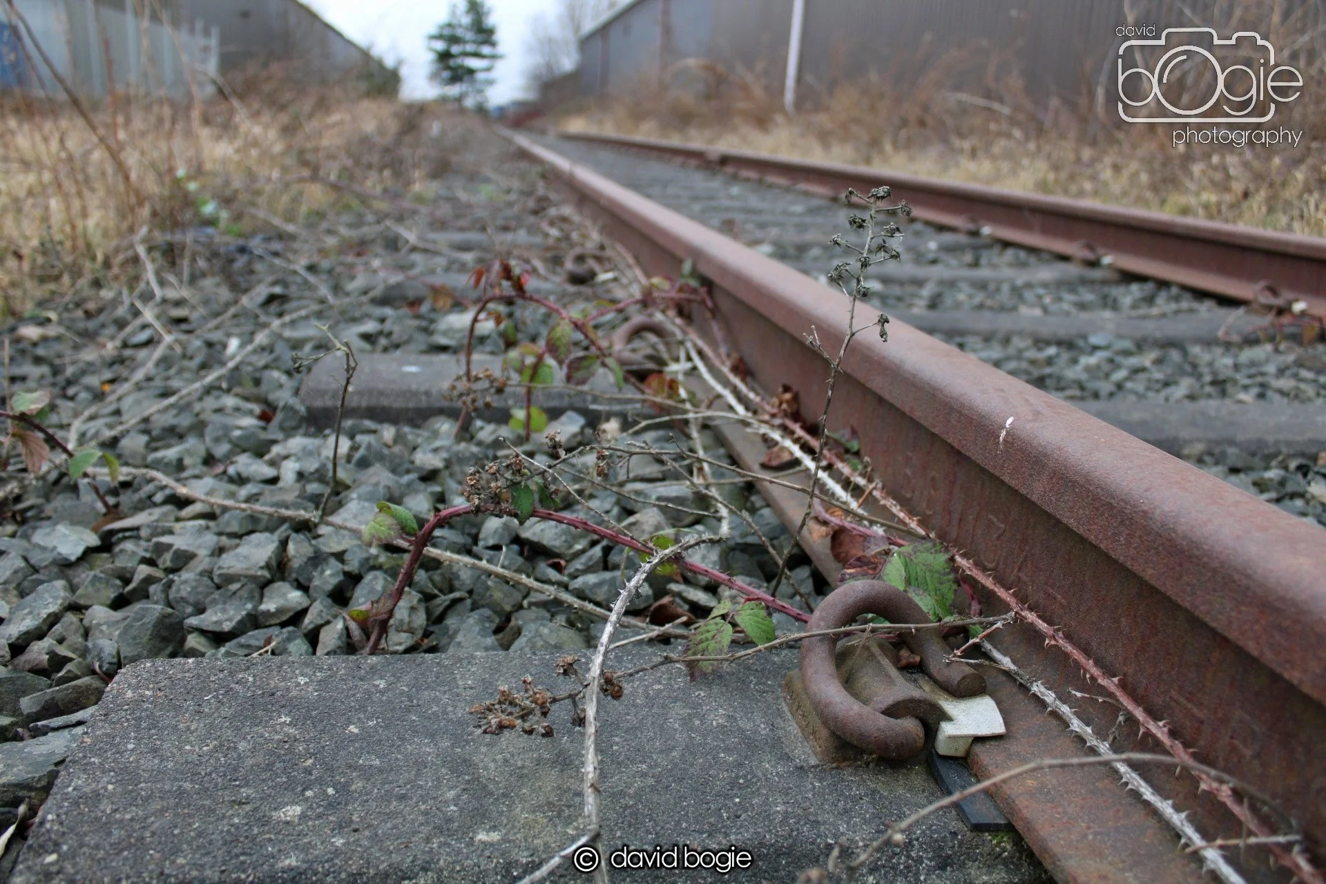 20190221 095732 Rosyth 0005.JPG