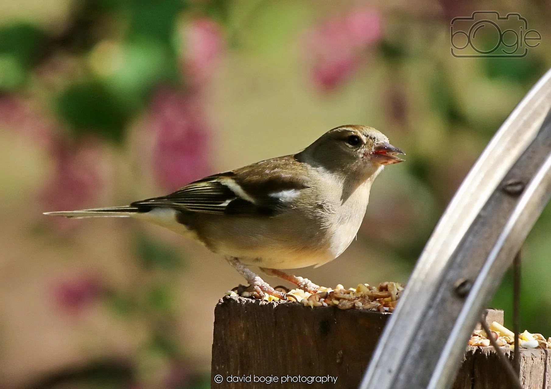 20260402 101920 Silverburn 0164.jpg