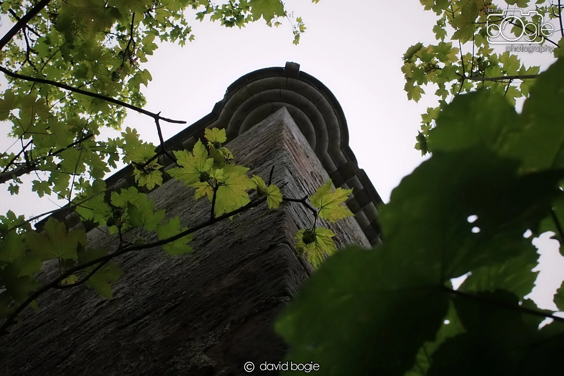 20190505 221552 Dunmore 0007  .jpg