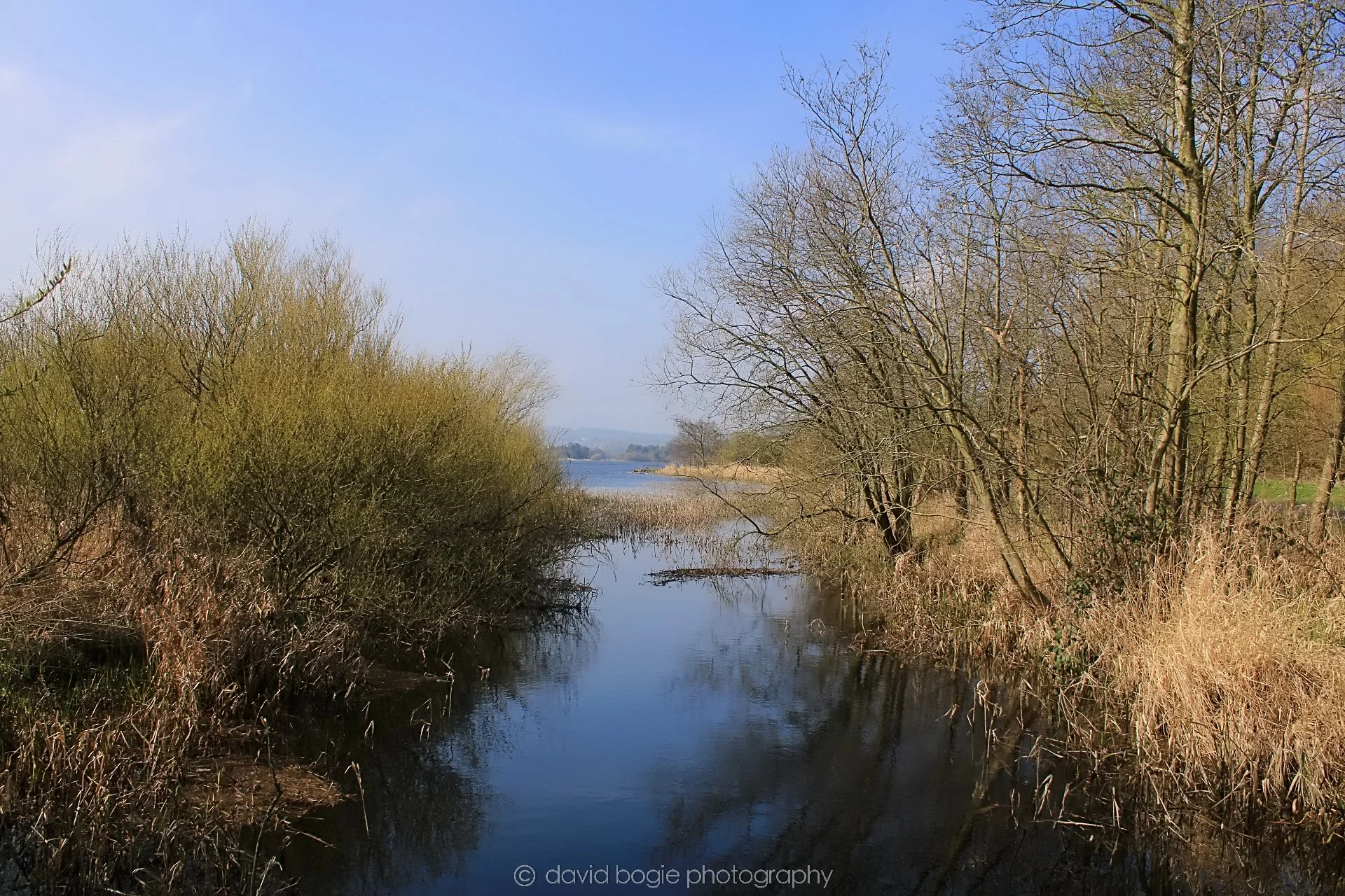 20190405 104215 Lochore 0016.jpg
