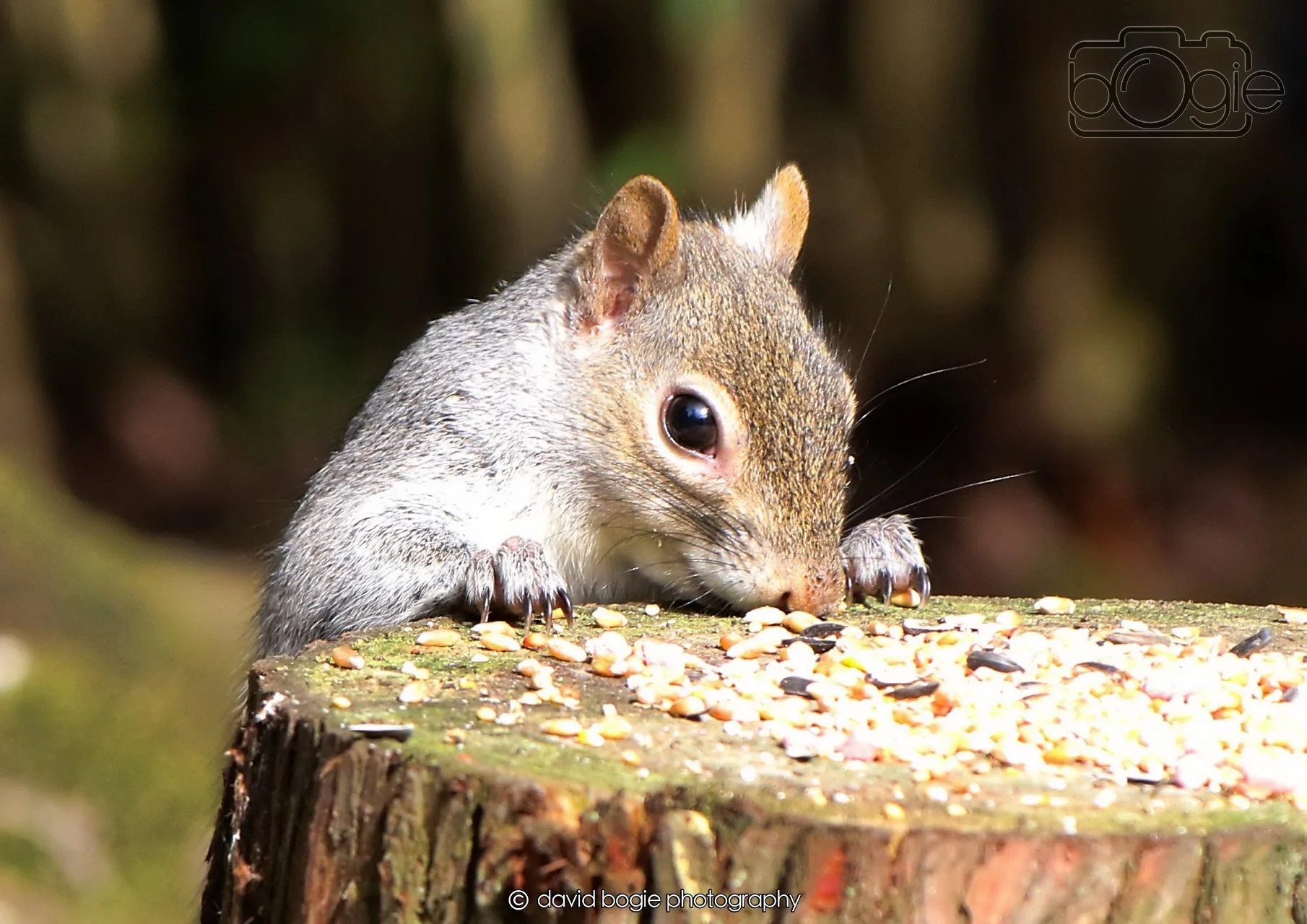 20260403 122235 Dunnikier 0188.jpg