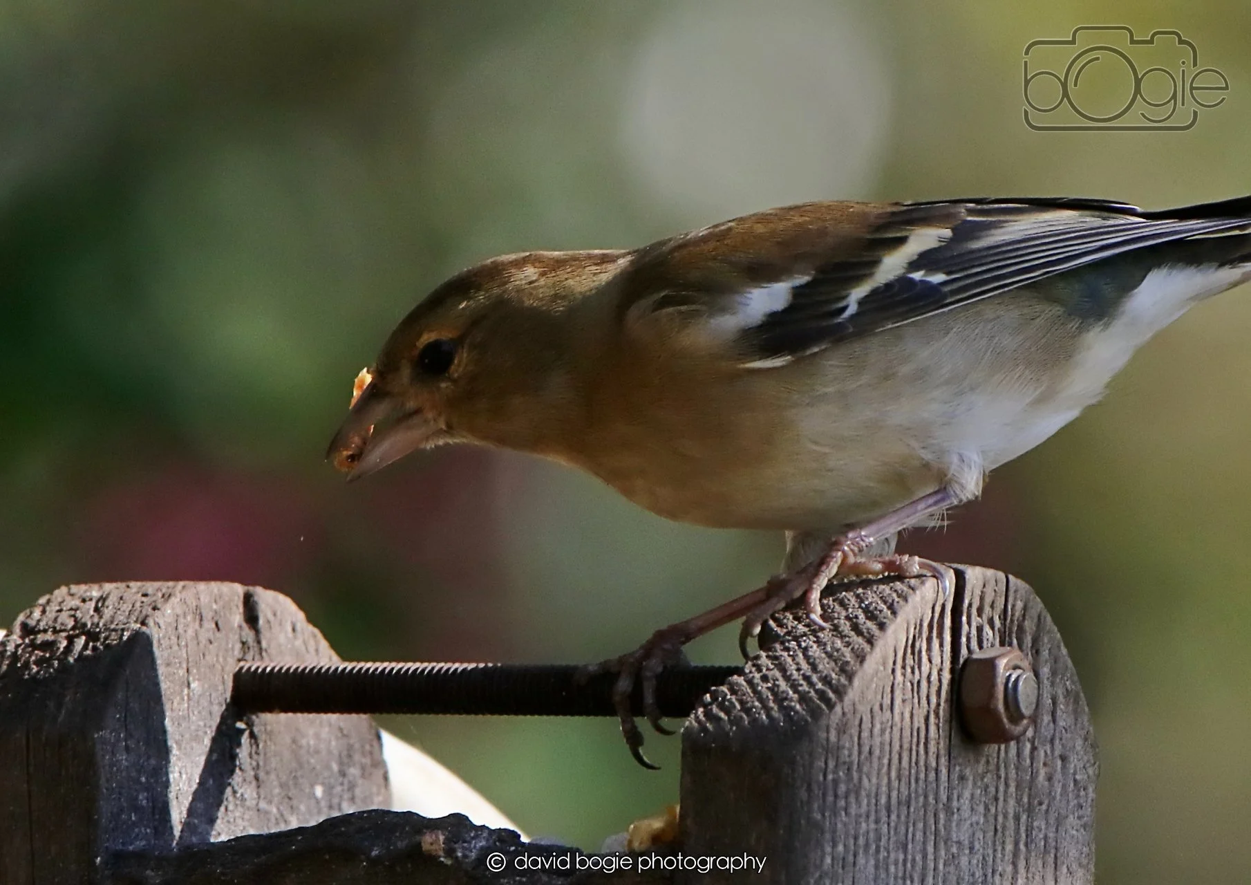 20260402 095710 Silverburn 0042.jpg