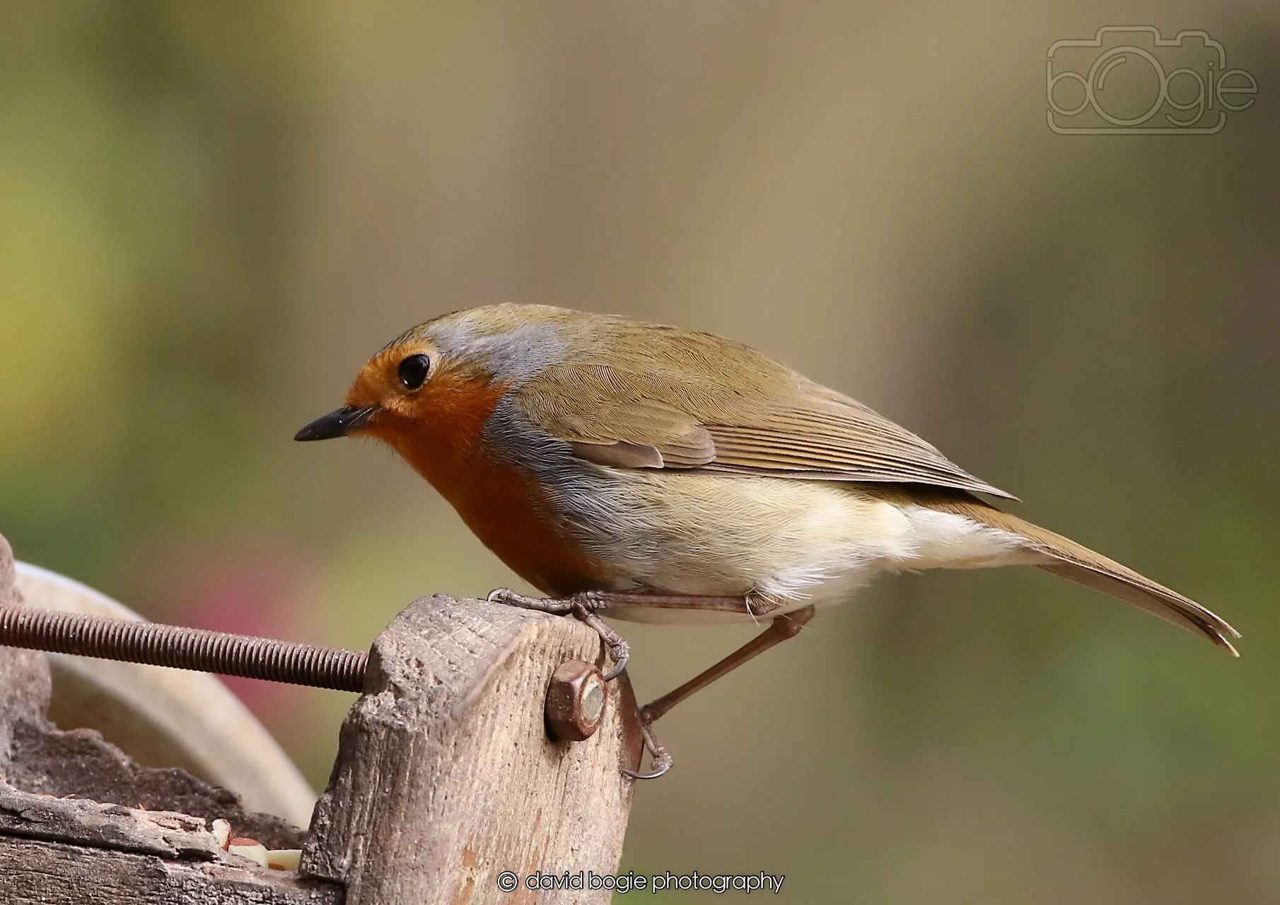 20260326 120826 Silverburn 0424.jpg