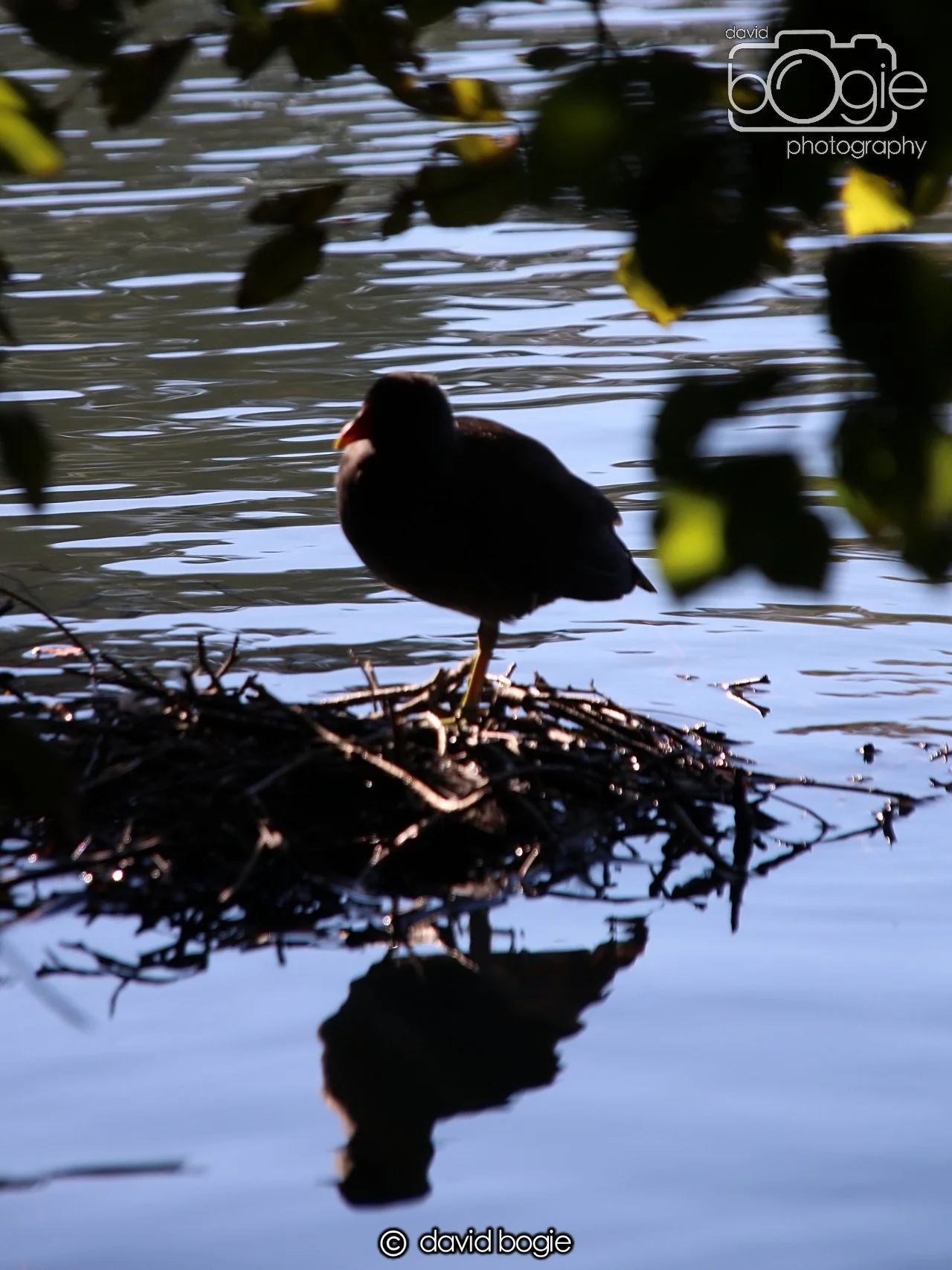 20240918 120516 Beveridge 0210.JPG