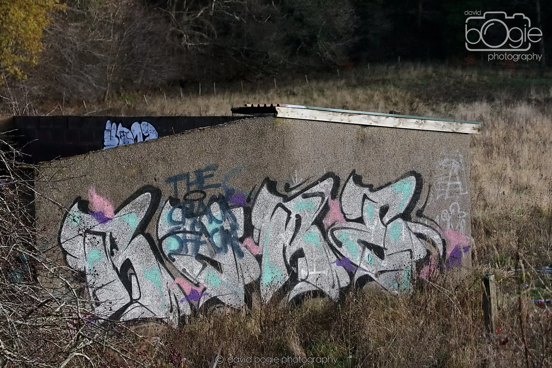 20251205 124344 East Calder 0060.JPG