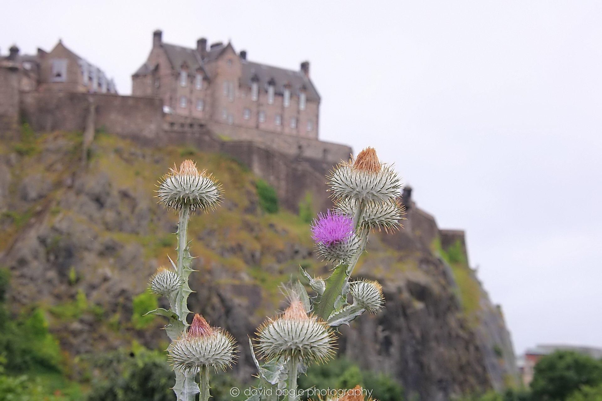 YEAR20240808 151928 Edinburgh 0136.jpg