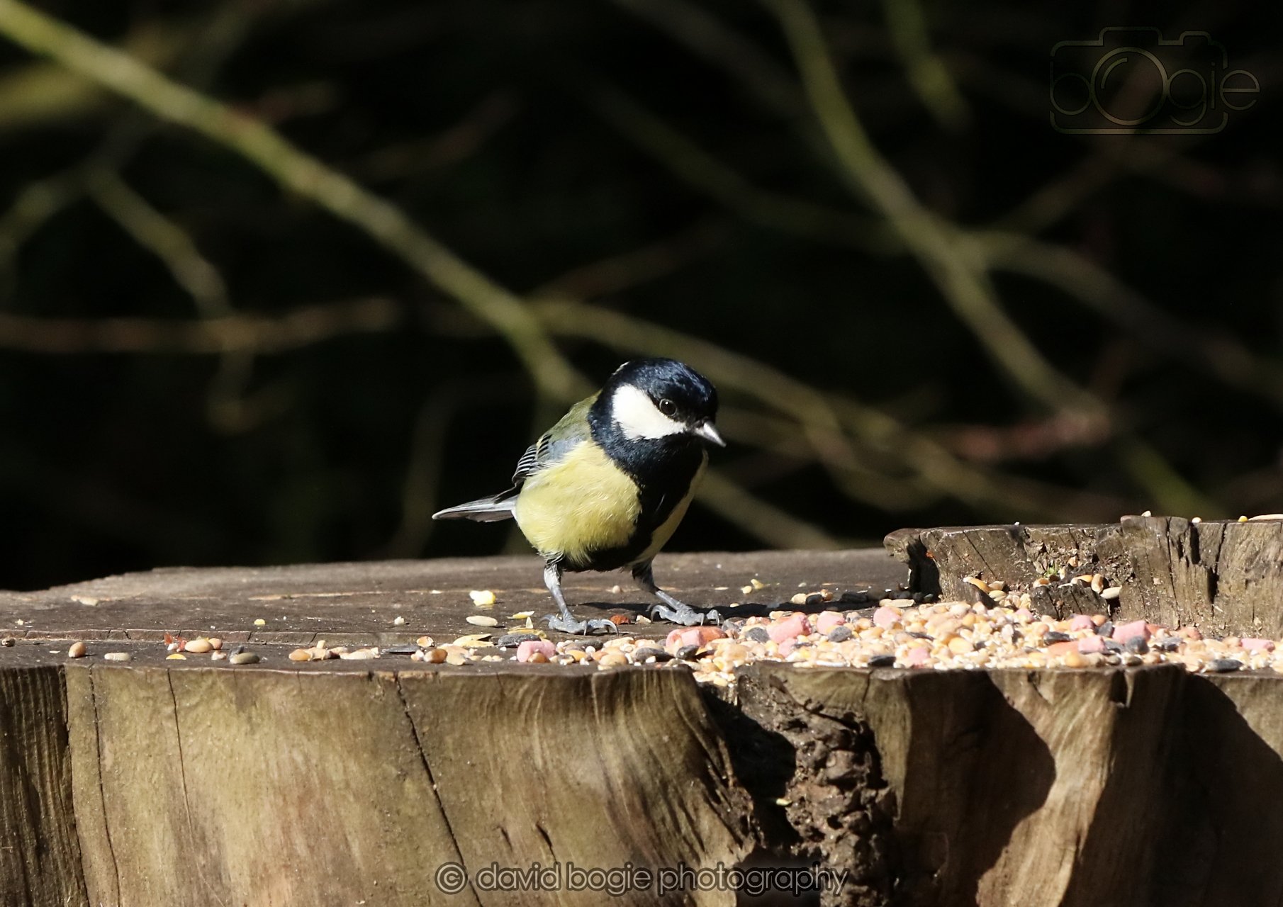 20260320 151620 Ravenscraig 0502.jpg