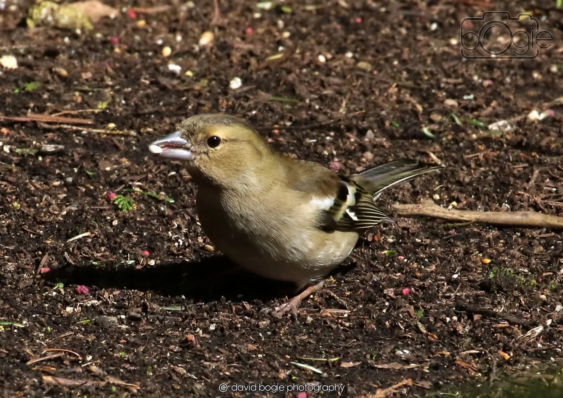 20260403 121409 Dunnikier 0074.jpg