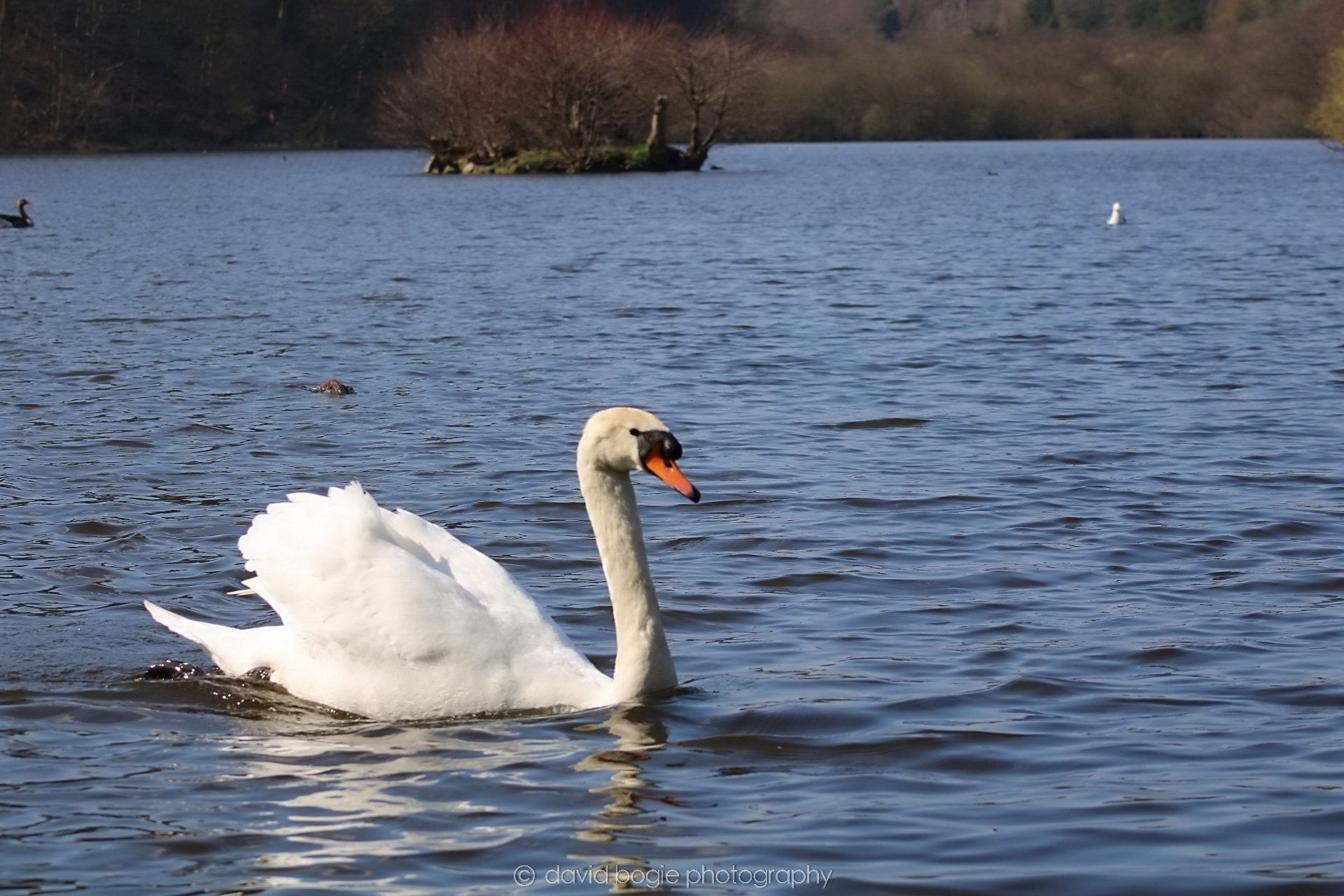 20190411 111915 Otterston 0022.jpg