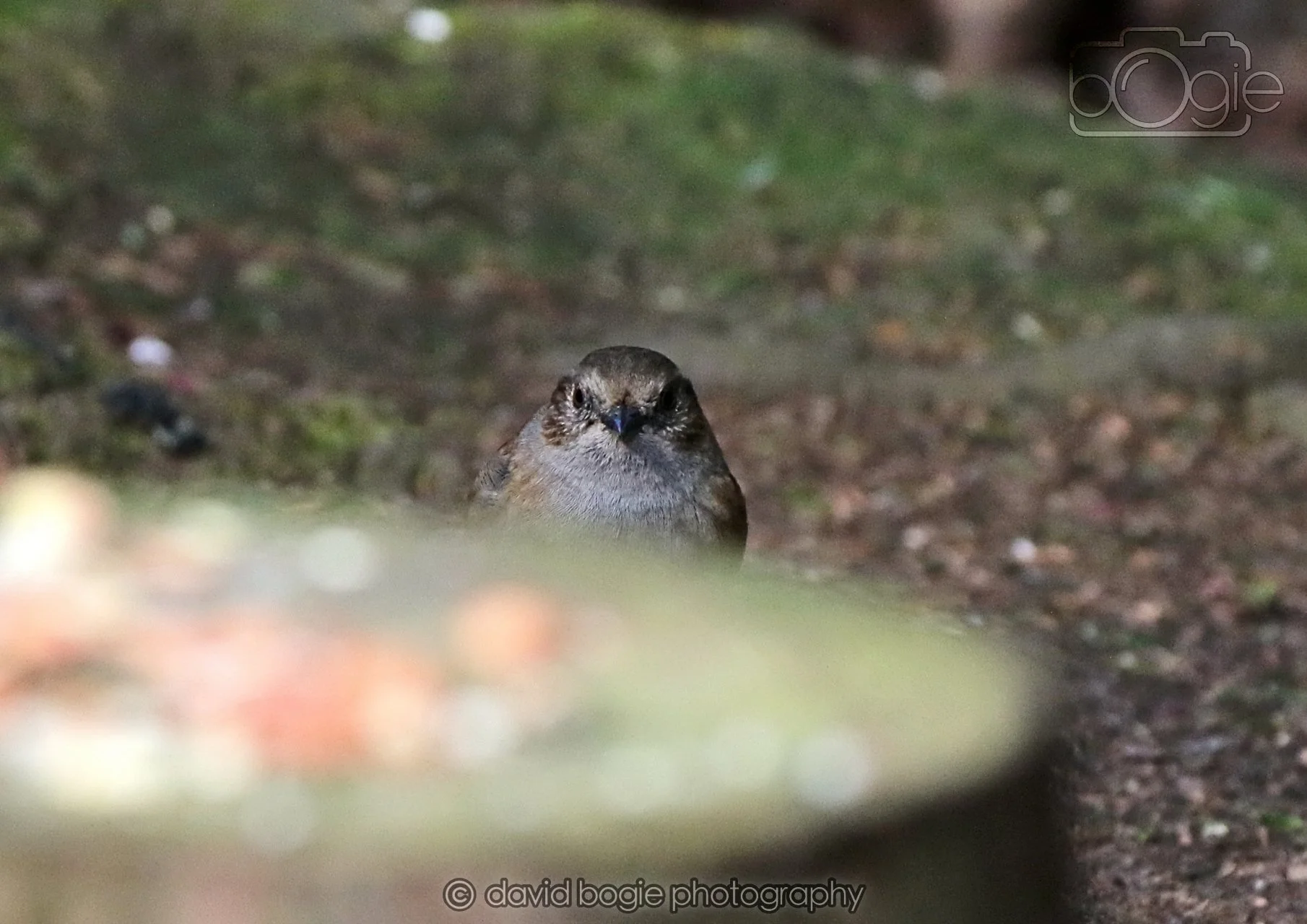 20260322 144612 Dunnikier 0157.jpg