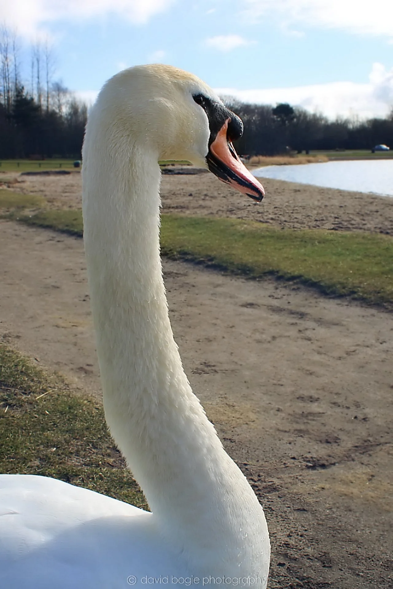 20190318 115607 Lochore 0003.jpg