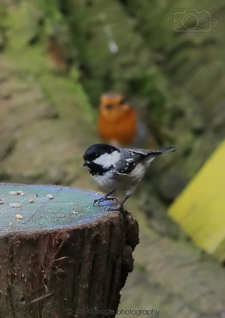 20260309 113443 Dunnikier 0203.jpg