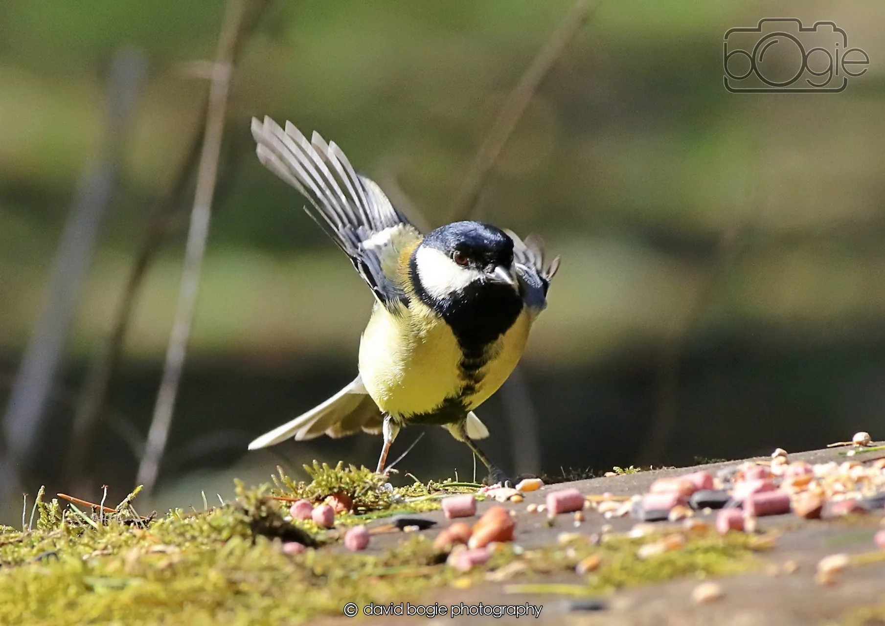 20260402 123826 Ravenscraig 0486.jpg