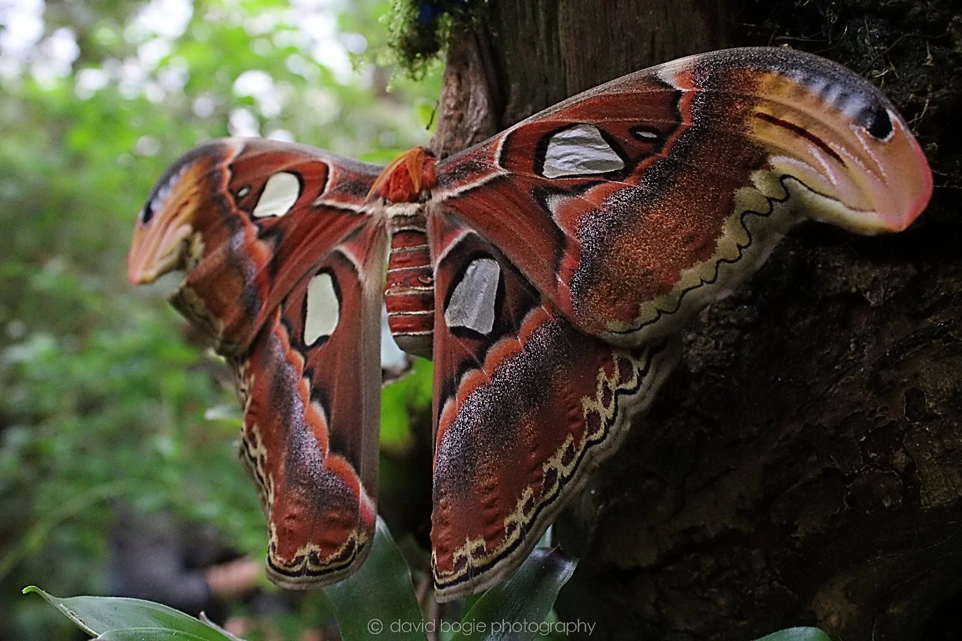 20191019 123134 Butterfly World 0014.jpg