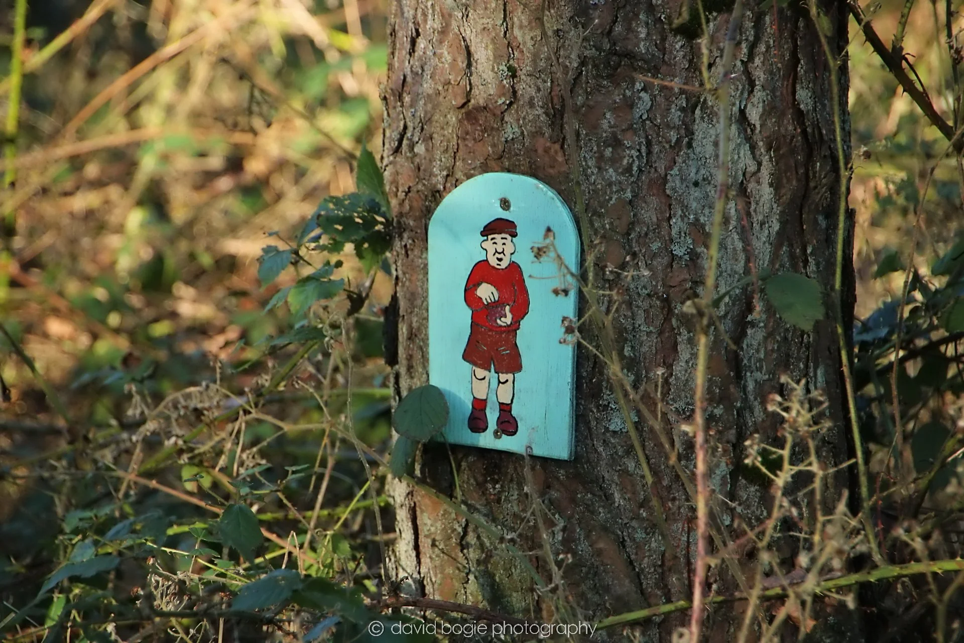 YEAR20240207 Lochore Meadows 0216.jpg