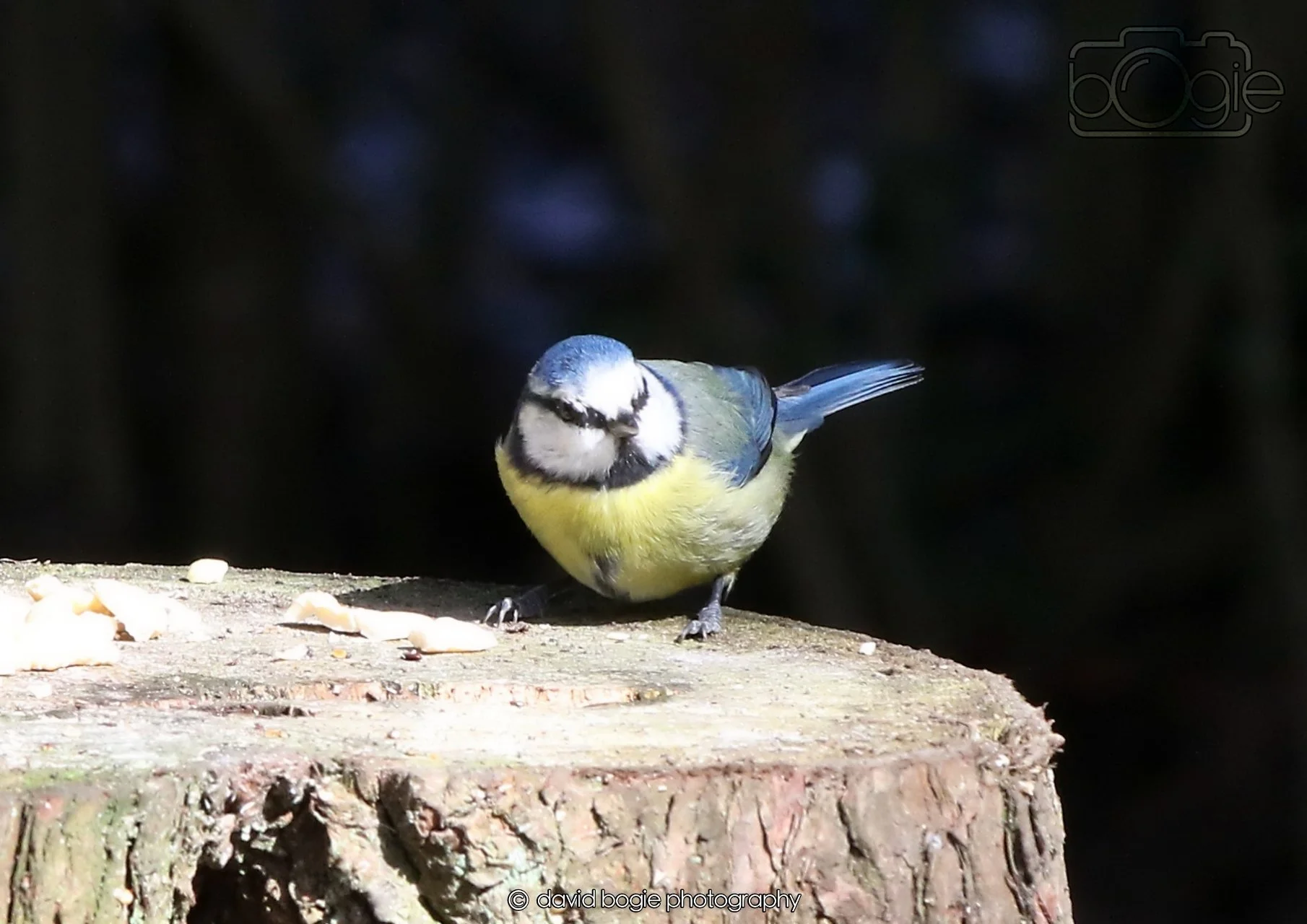 20260330 115243 Dunnikier 0249.jpg