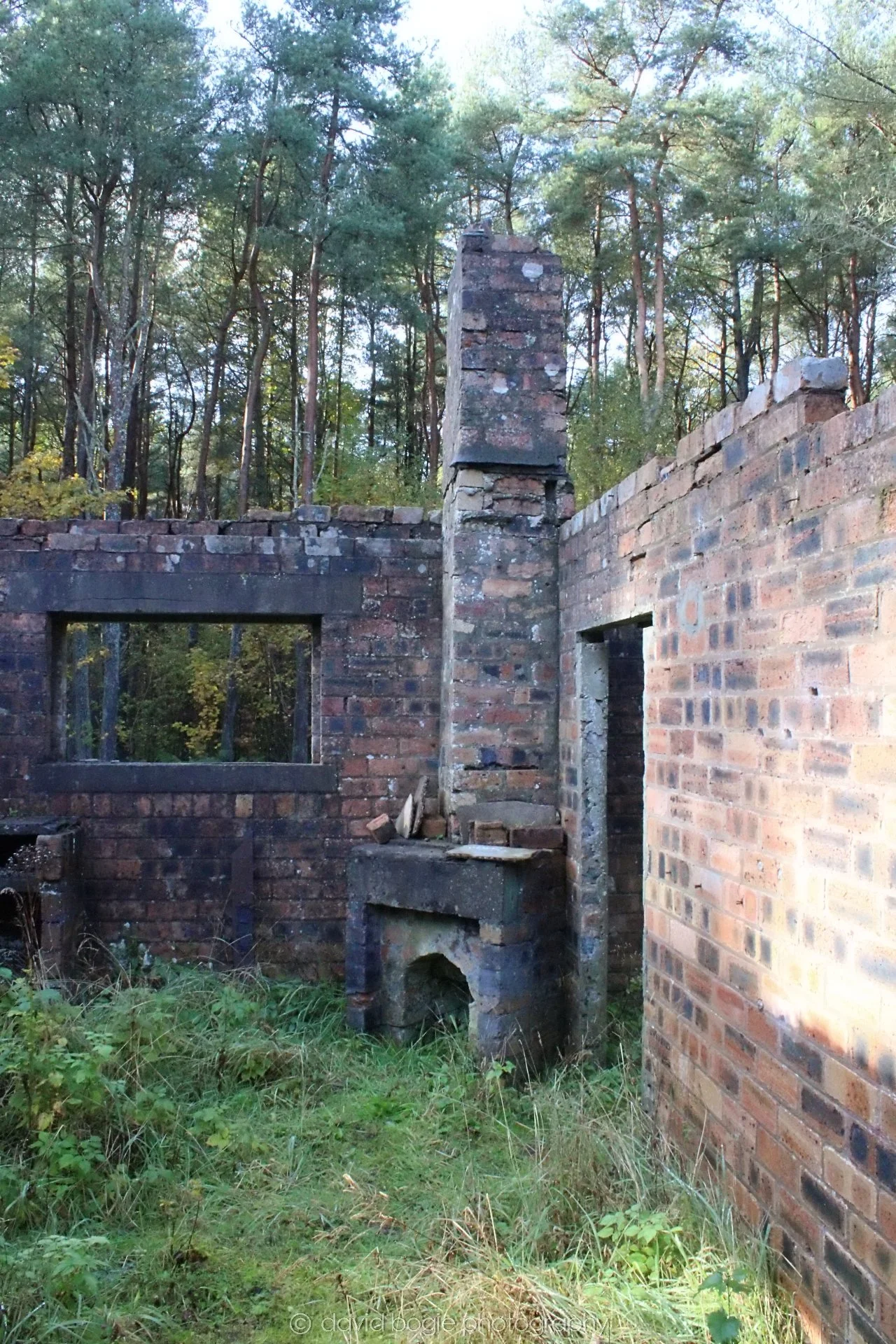 20191014 135007 Tentsmuir 0043.jpg