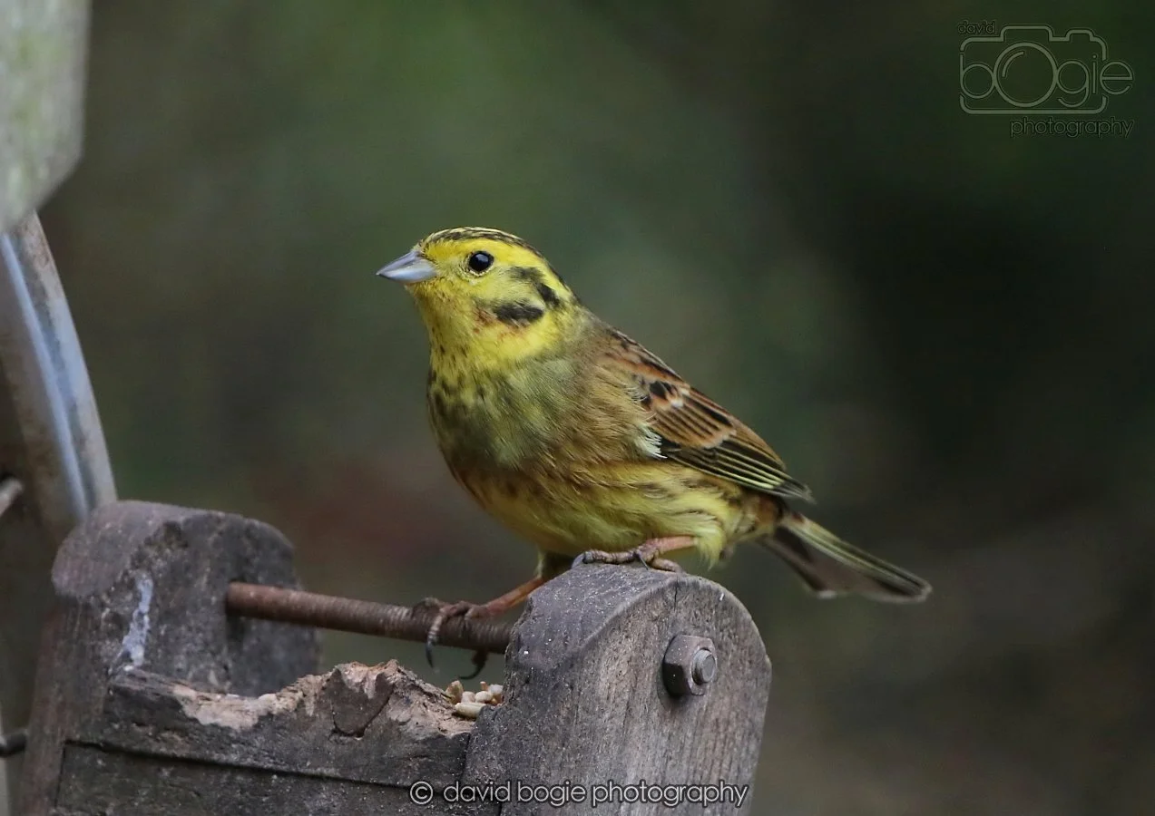 20260215 132435 Silverburn 0136.jpg