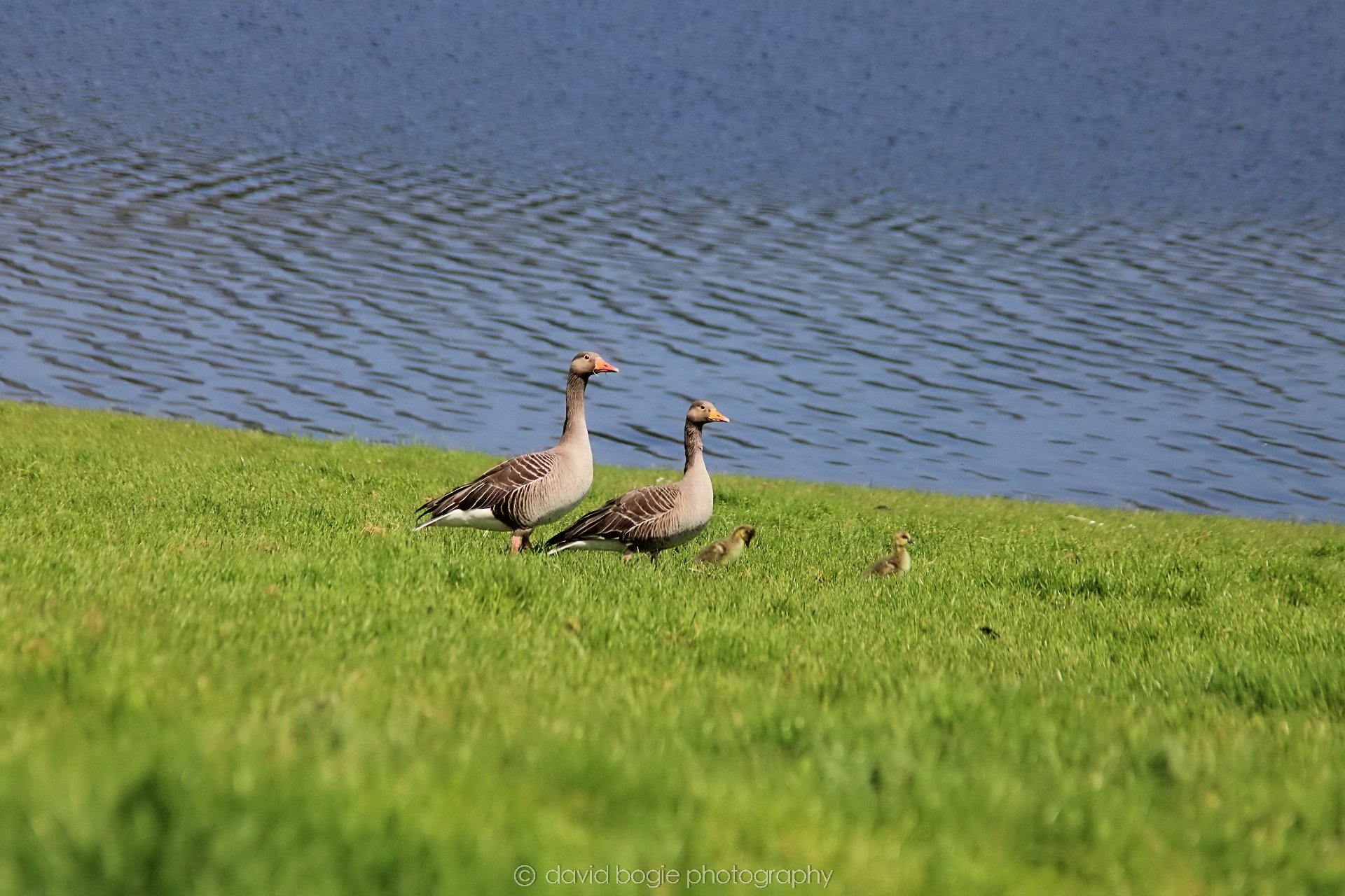 20210530 Lochore 10.jpg