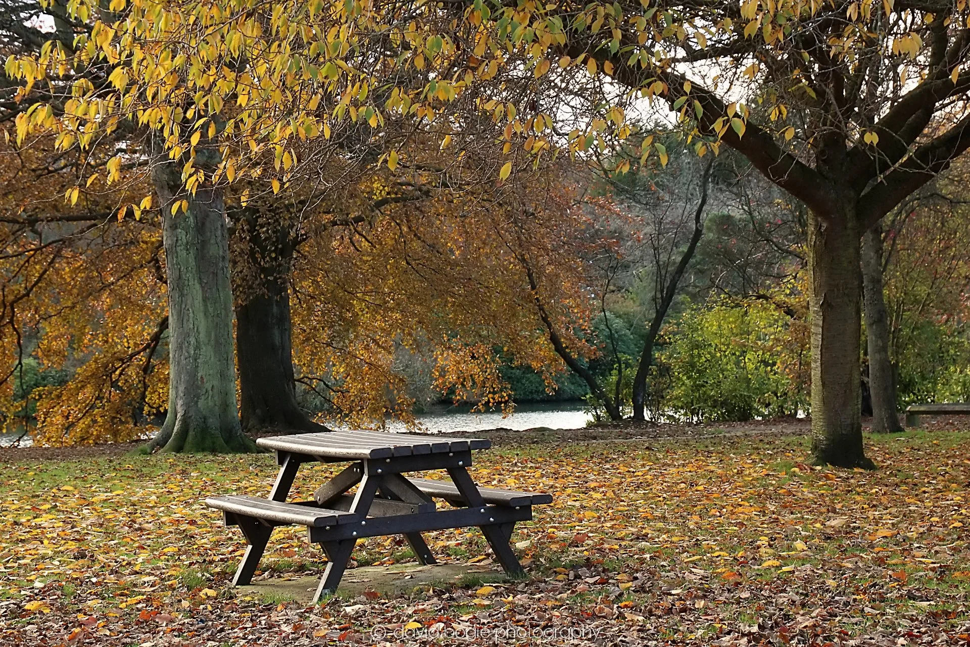 YEAR20231107 Beveridge Park 0250.jpg