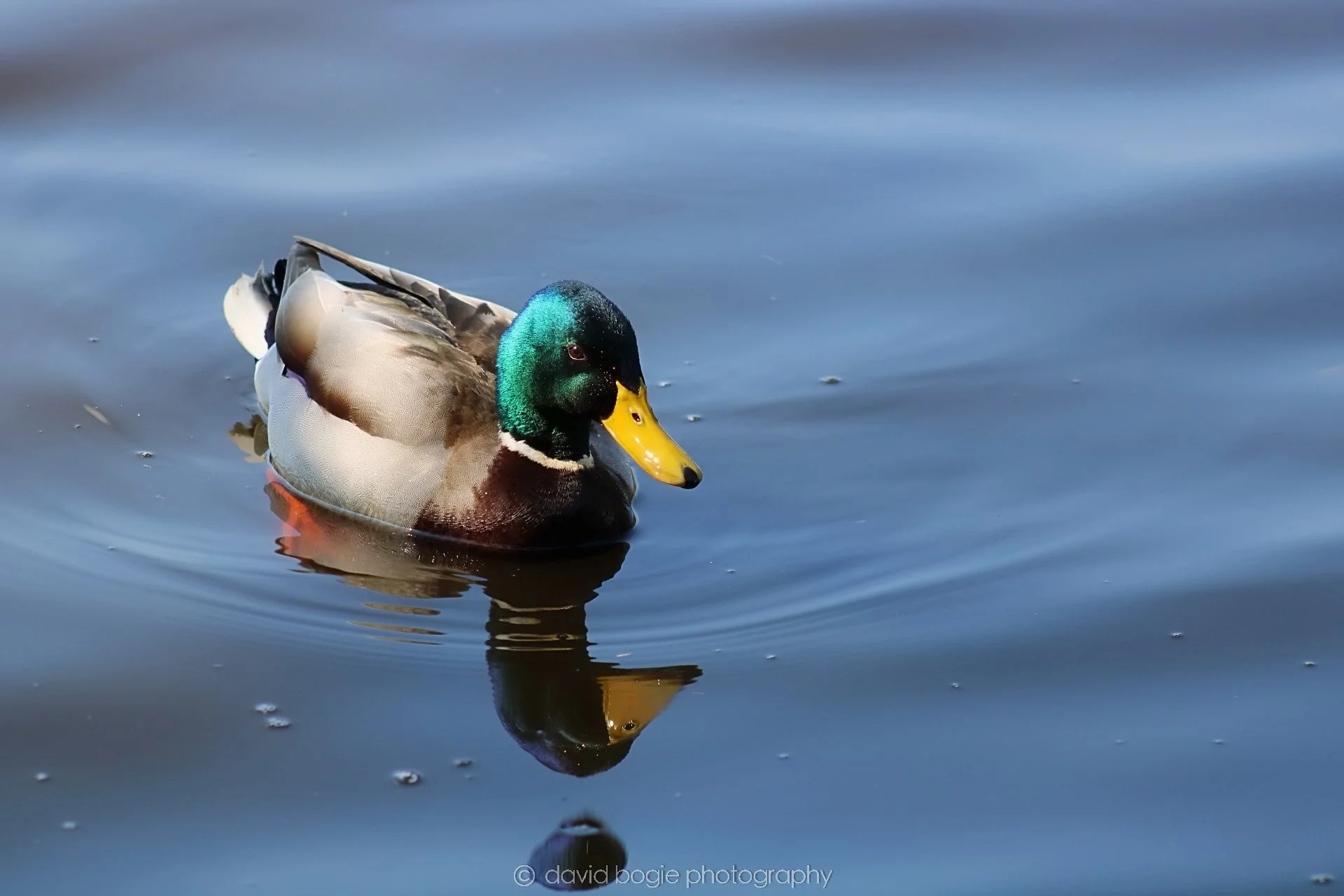 20190411 111309 Otterston 0008.jpg