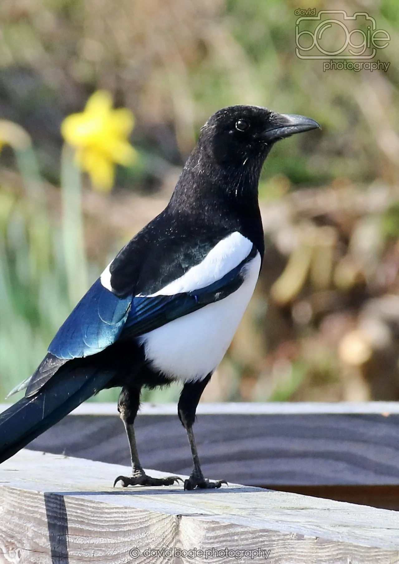 20260319 114940 Beveridge Park 0187.jpg