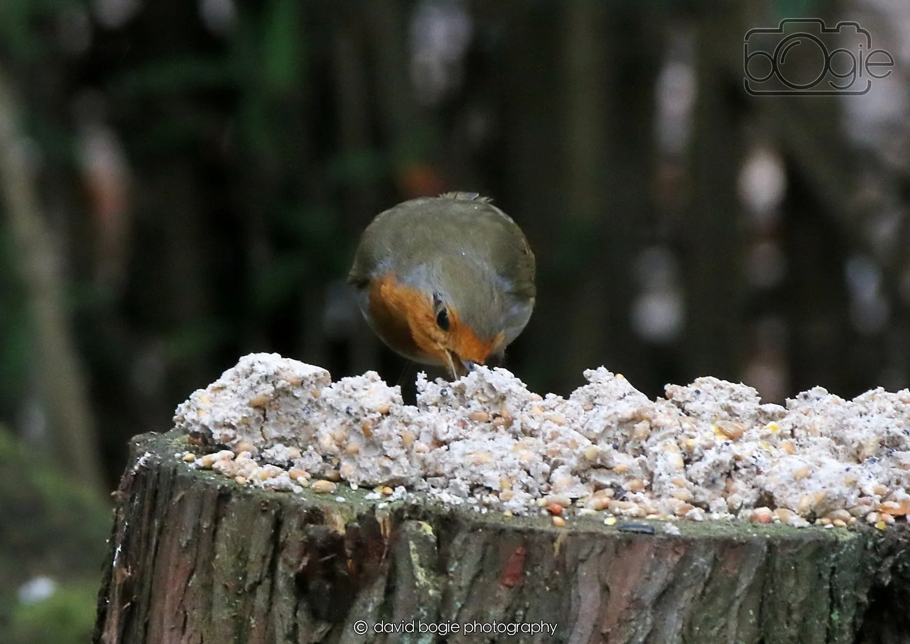 20260403 130138 Dunnikier 0286.jpg