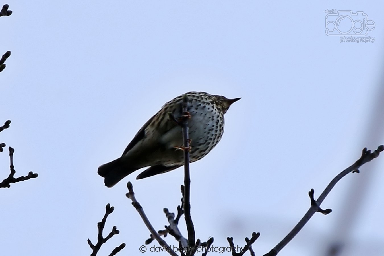 20260306 090602 Dunnikier 0003.jpg