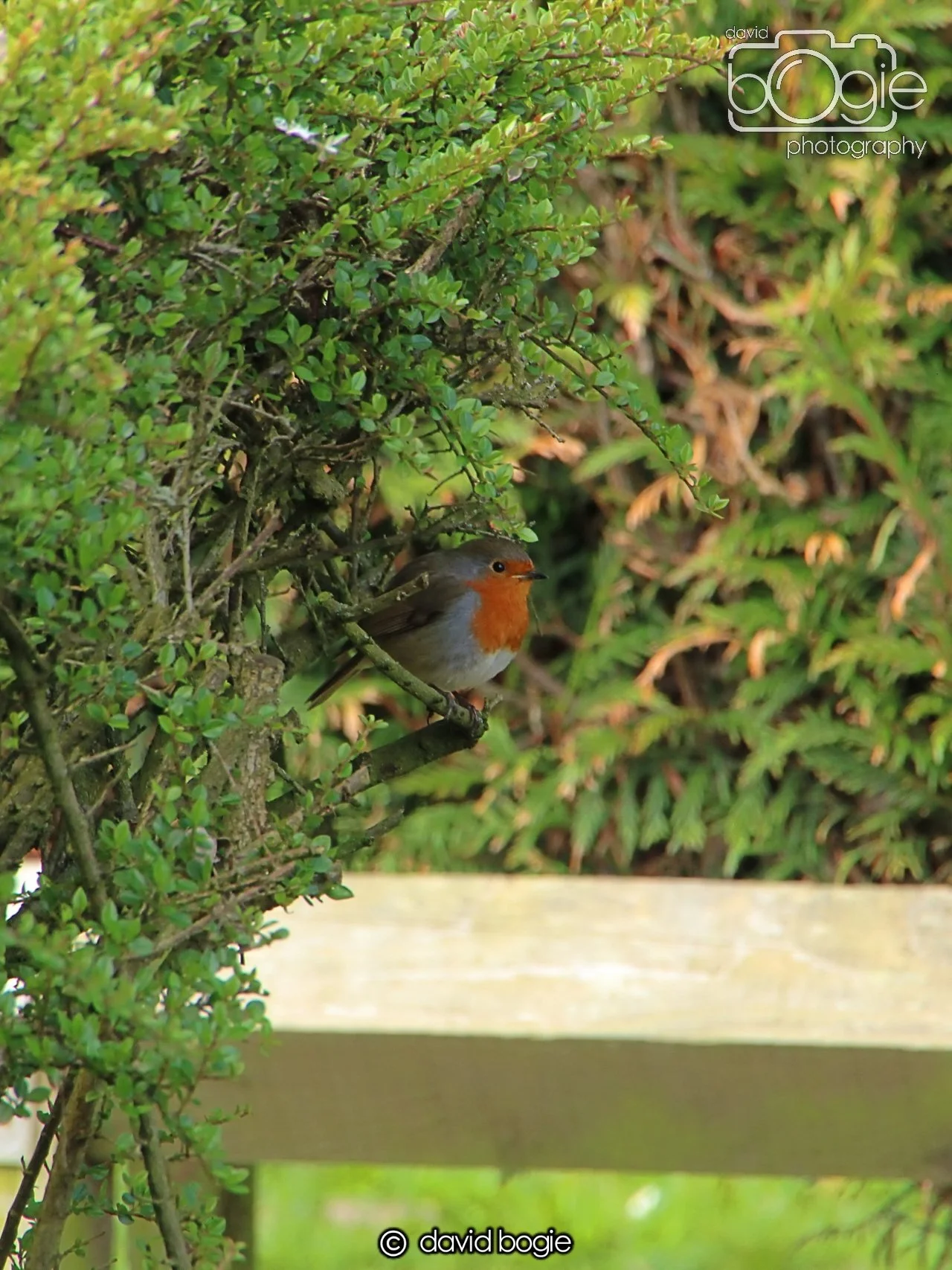 20240423 113058 Beveridge 0032.JPG