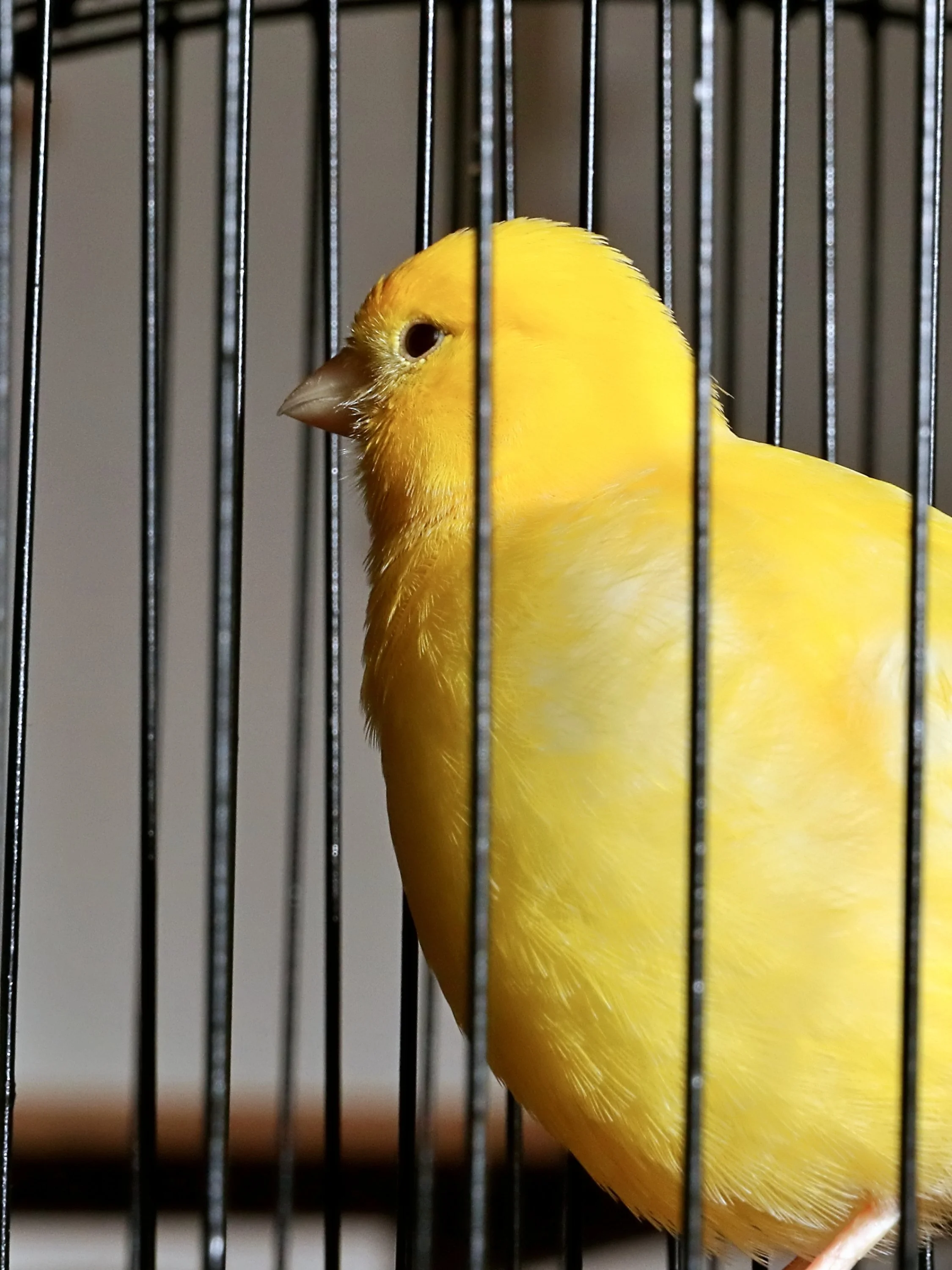 20251102 142700 Markinch CBS  0780.JPG