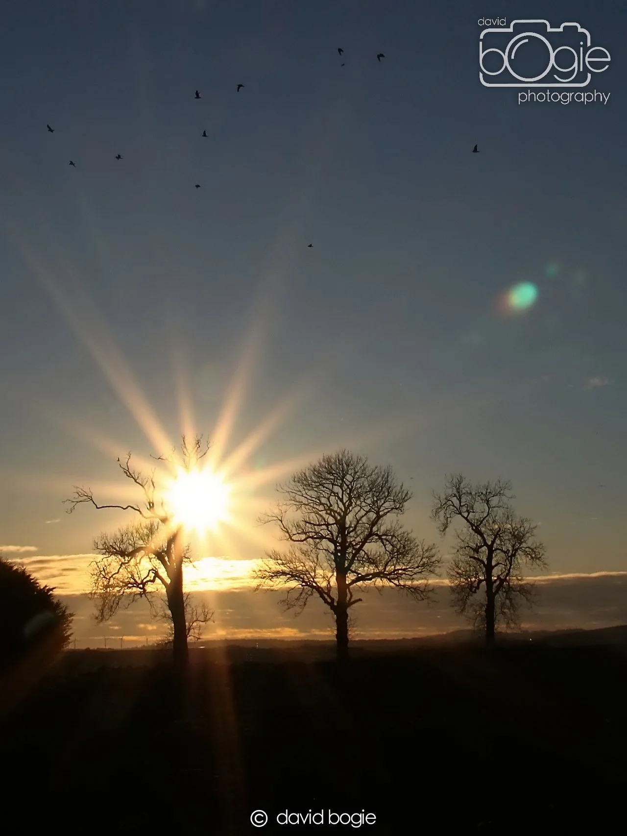 20241127 154317 Kinglassie 0536.JPG