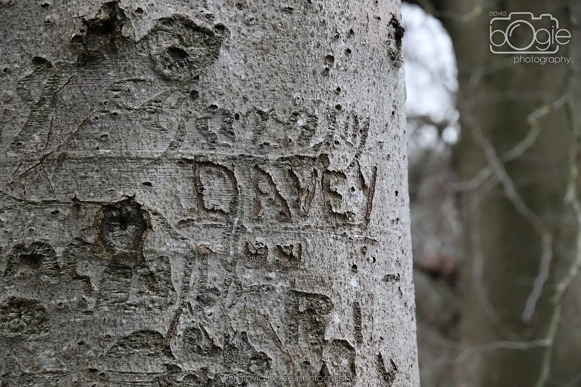 20251205 142258 East Calder 0233.JPG