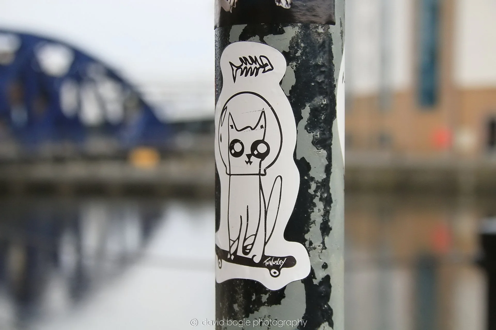 YEAR20250321 134212 Edinburgh 0098.jpg
