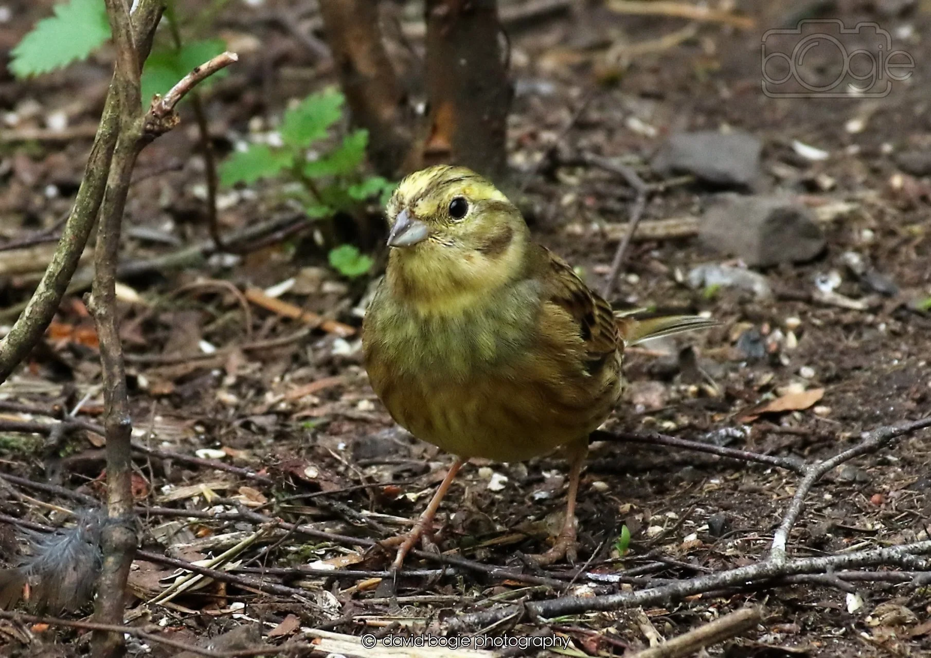 20260326 112255 Silverburn 0077.jpg