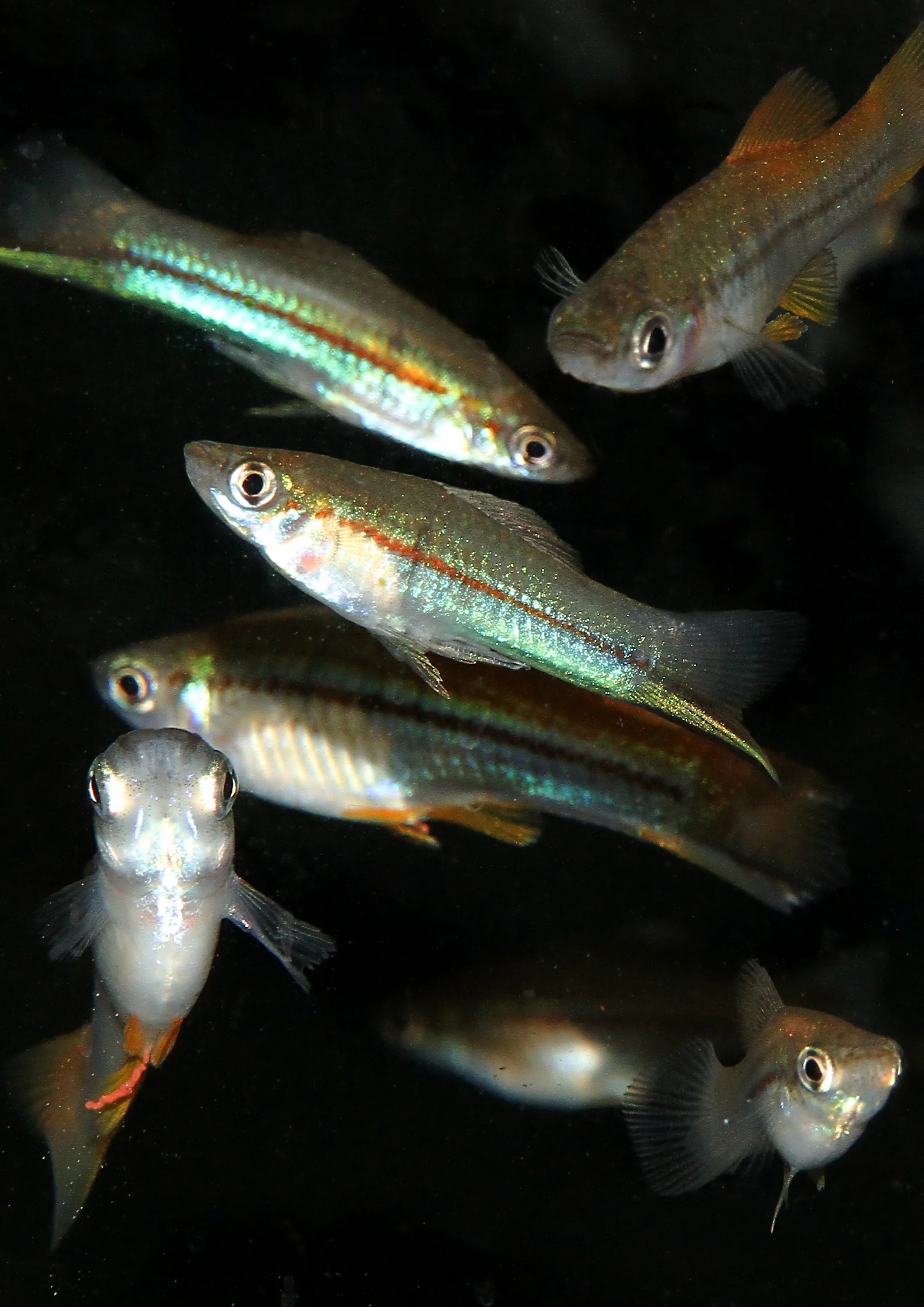 20260403 142752 IMG_0199.jpg