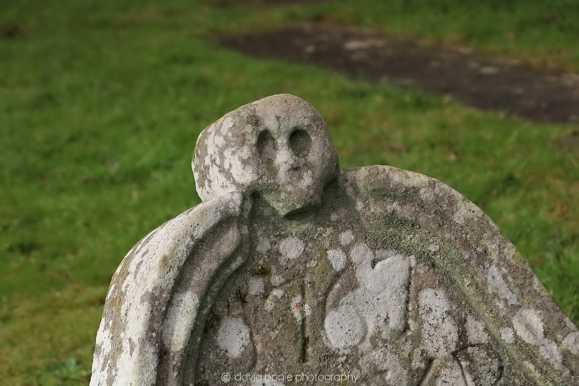 YEAR20240213 115215 Dalgety.jpg