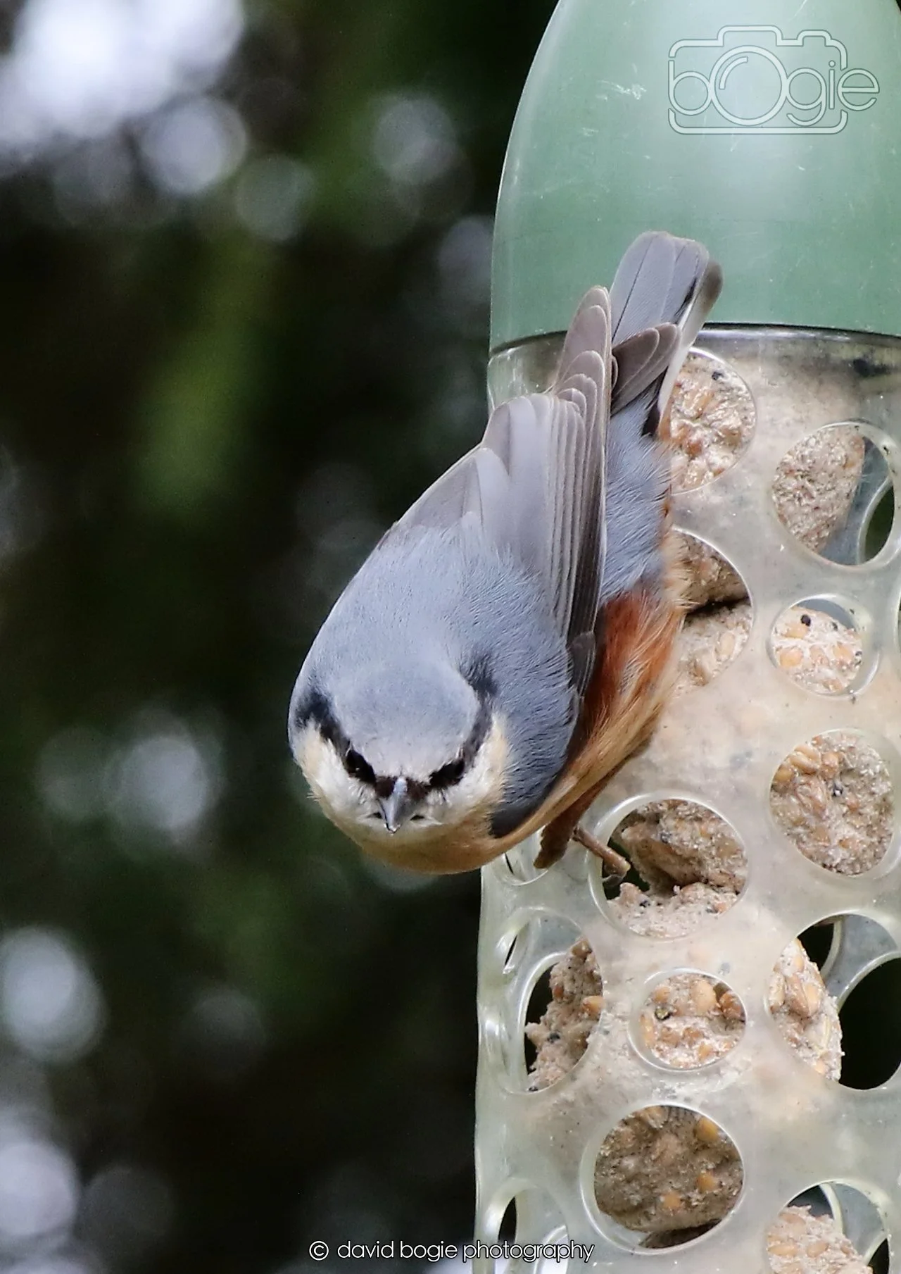 20260330 112426 Dunnikier 0124.jpg