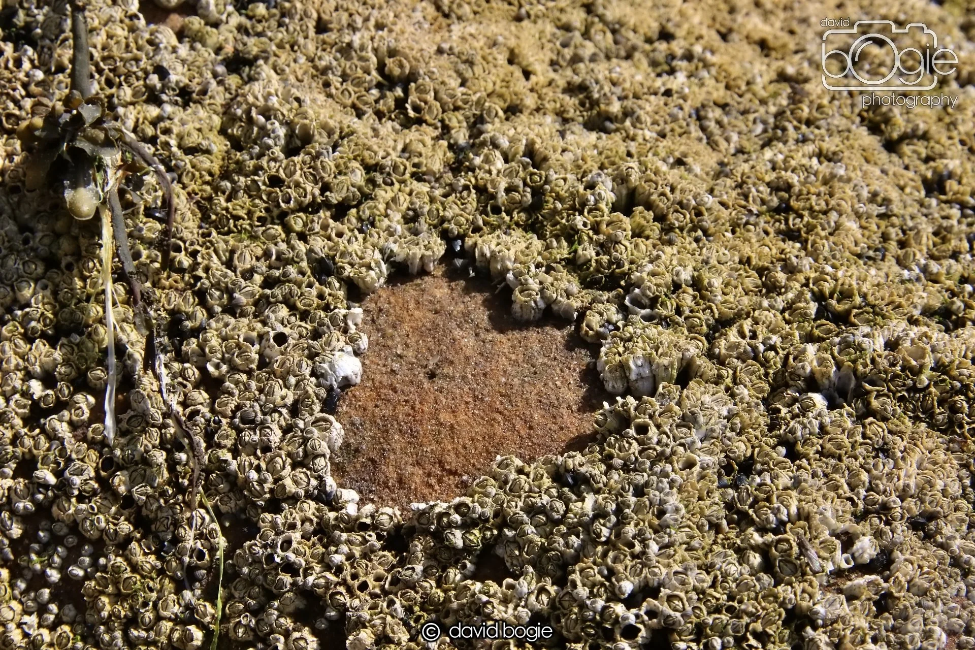 20250812 140402 Dysart 0046.JPG