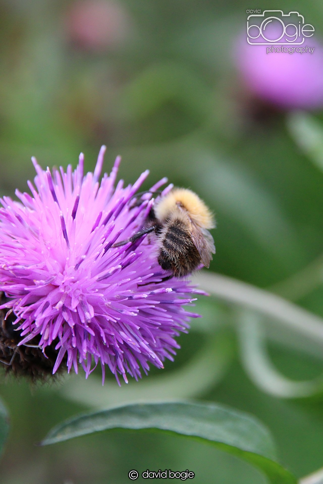 20220926 Beveridge Park12 .JPG