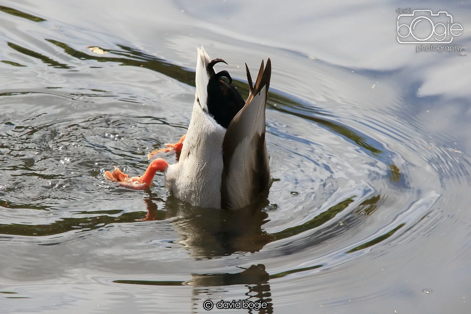 20250505 132707 Beveridge Park 0900.JPG