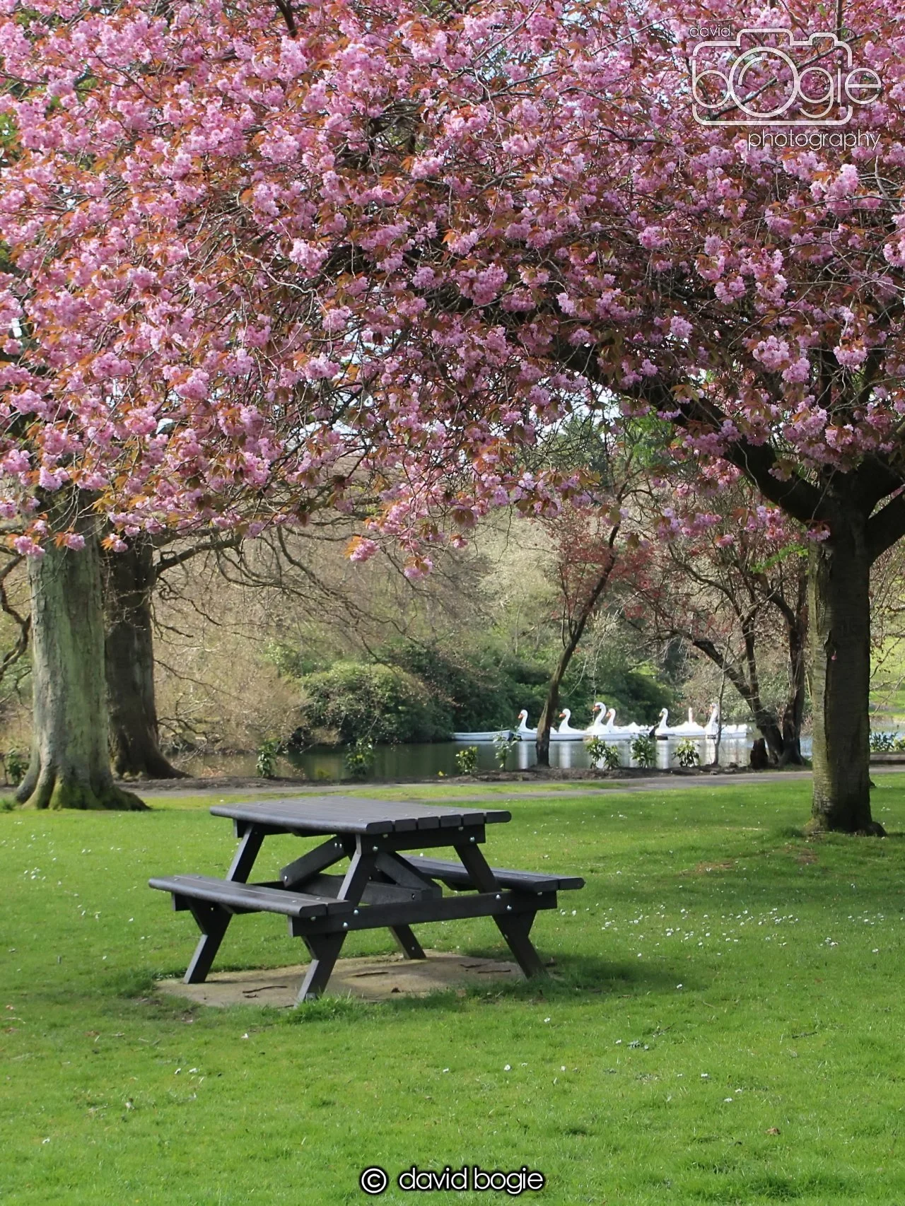 20240423 105216 Beveridge 0011.JPG