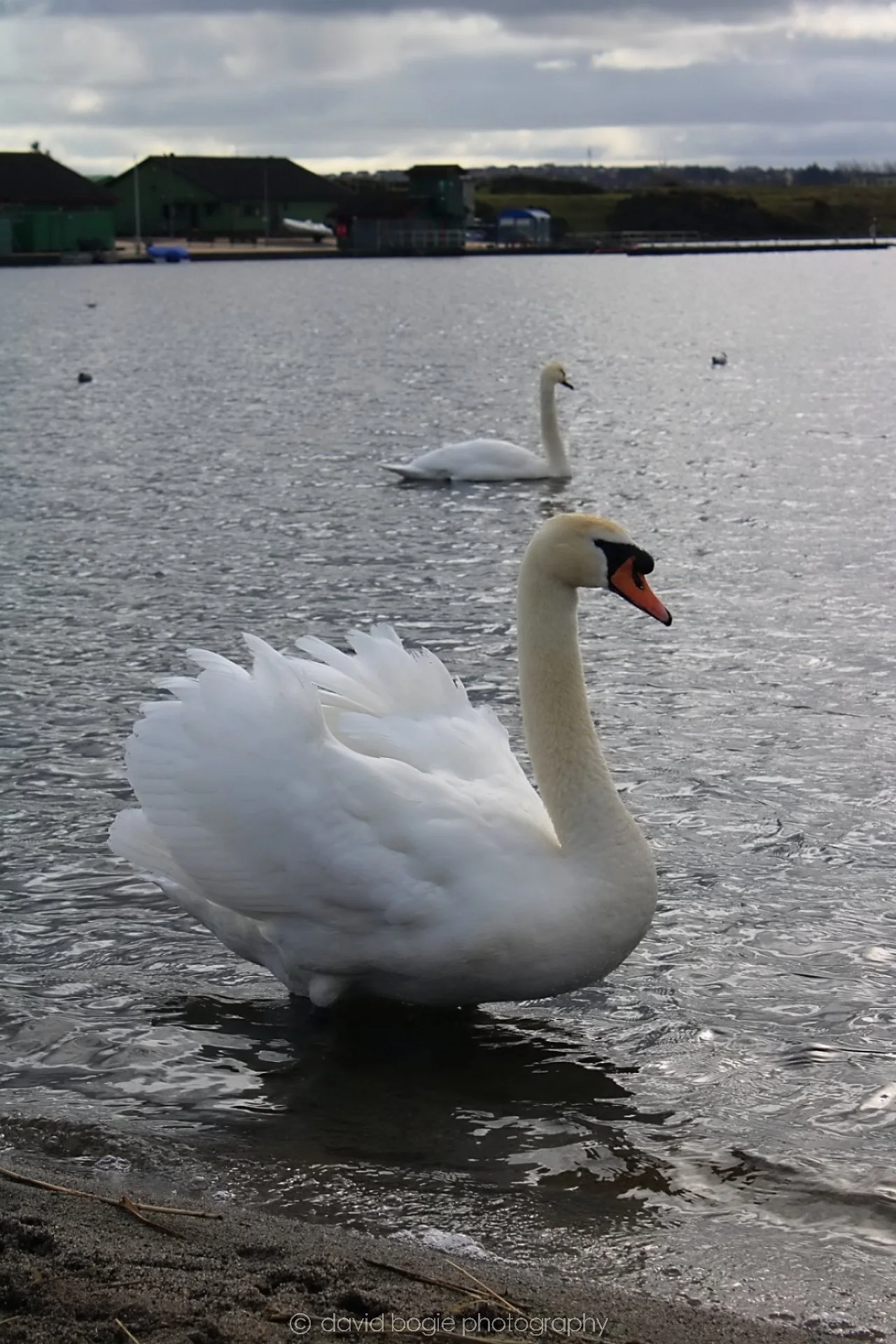 20190318 123243 Lochore 0012.jpg
