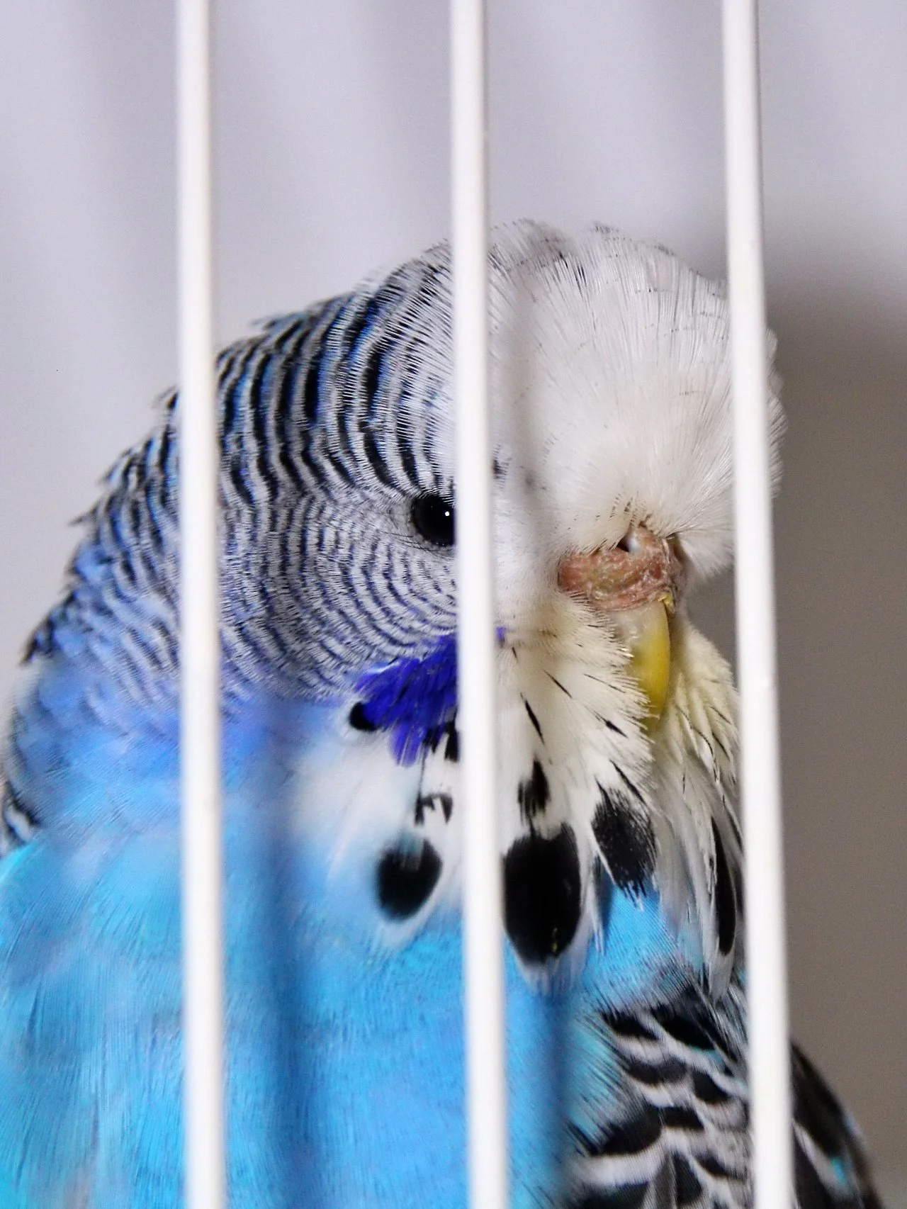 20241103 133803 MCBS Show 0612.JPG