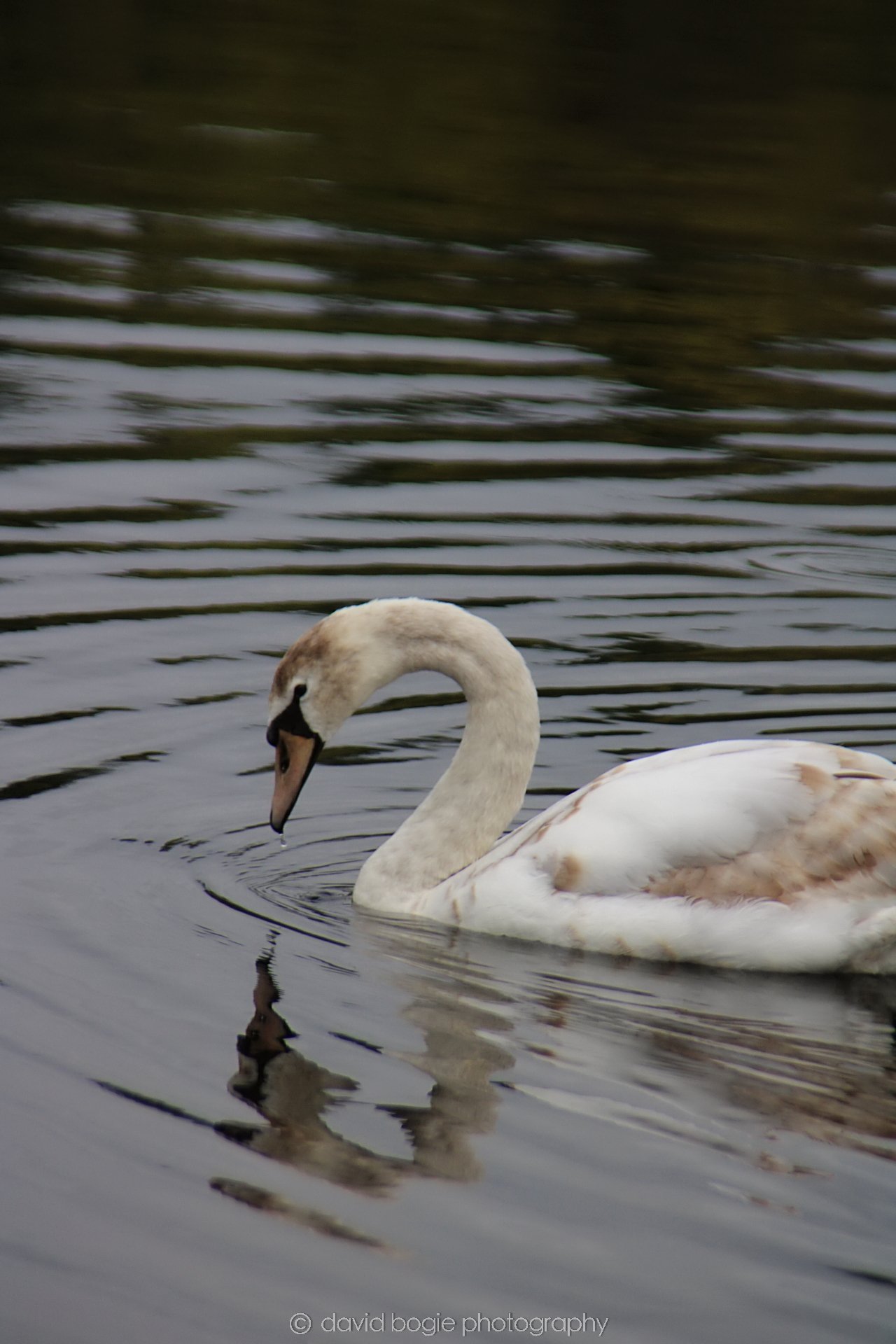 YEAR20220426 Lochore 37.jpg