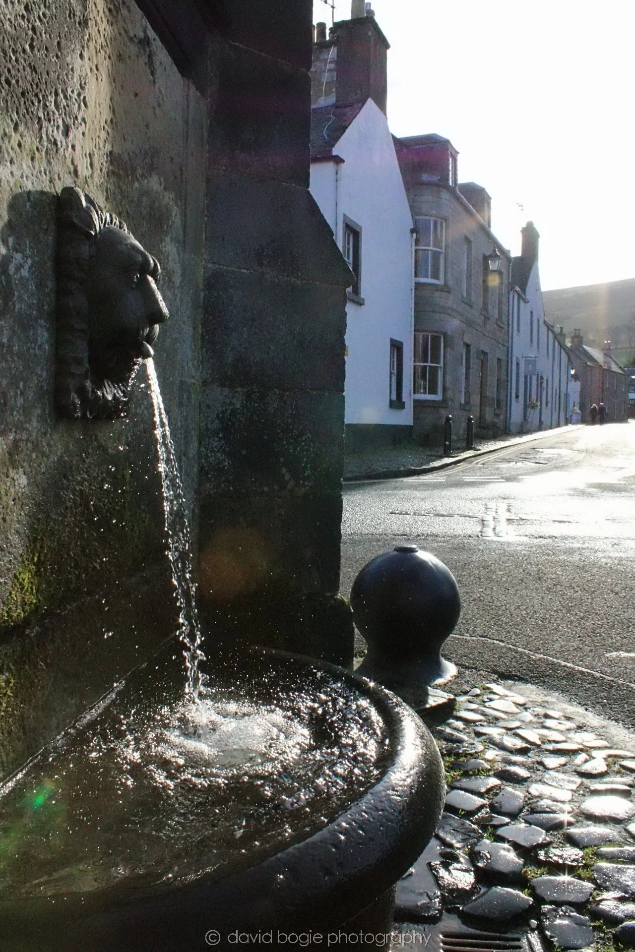 20190211 114016 Falkland 0008.jpg