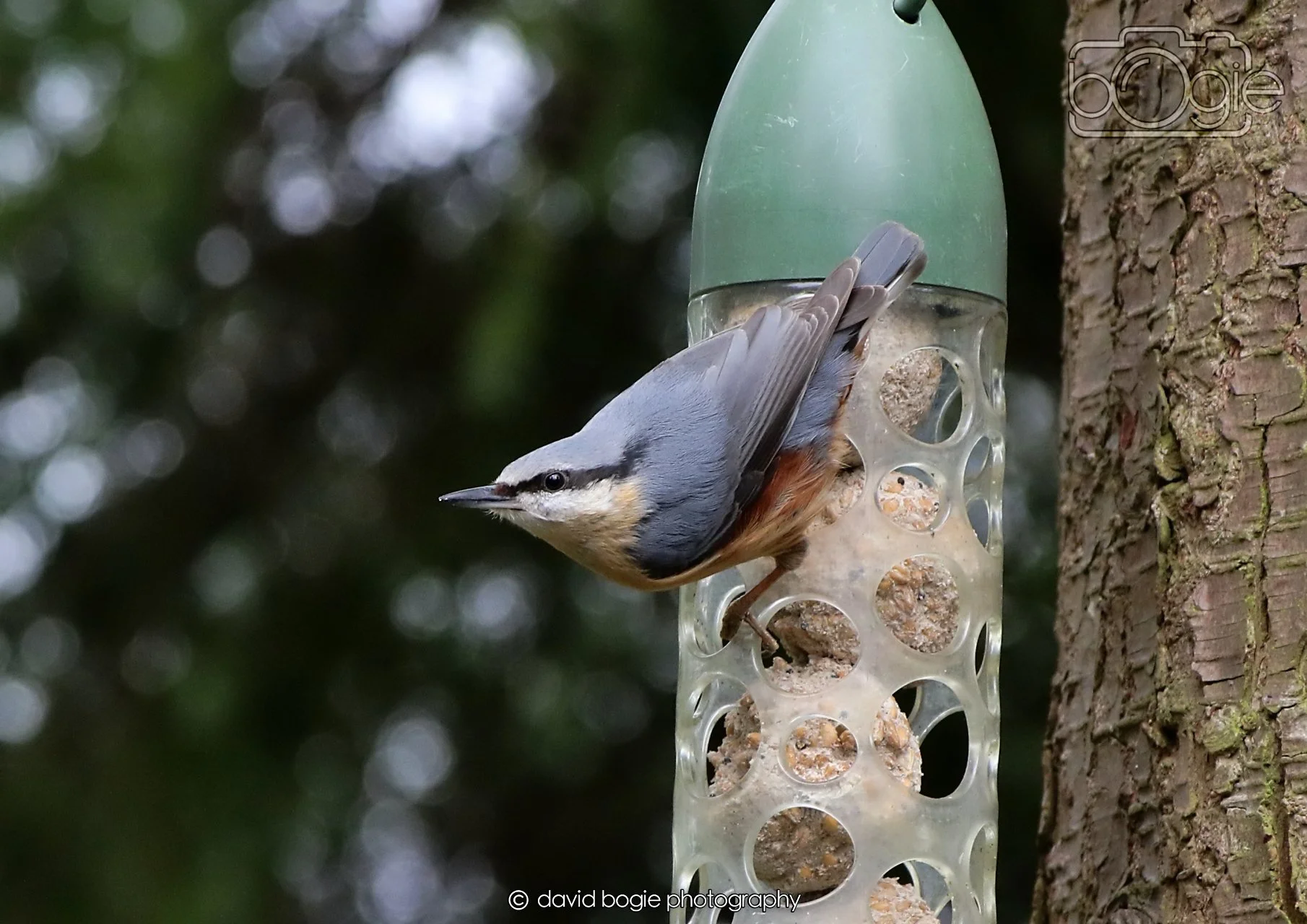 20260330 112422 Dunnikier 0116.jpg