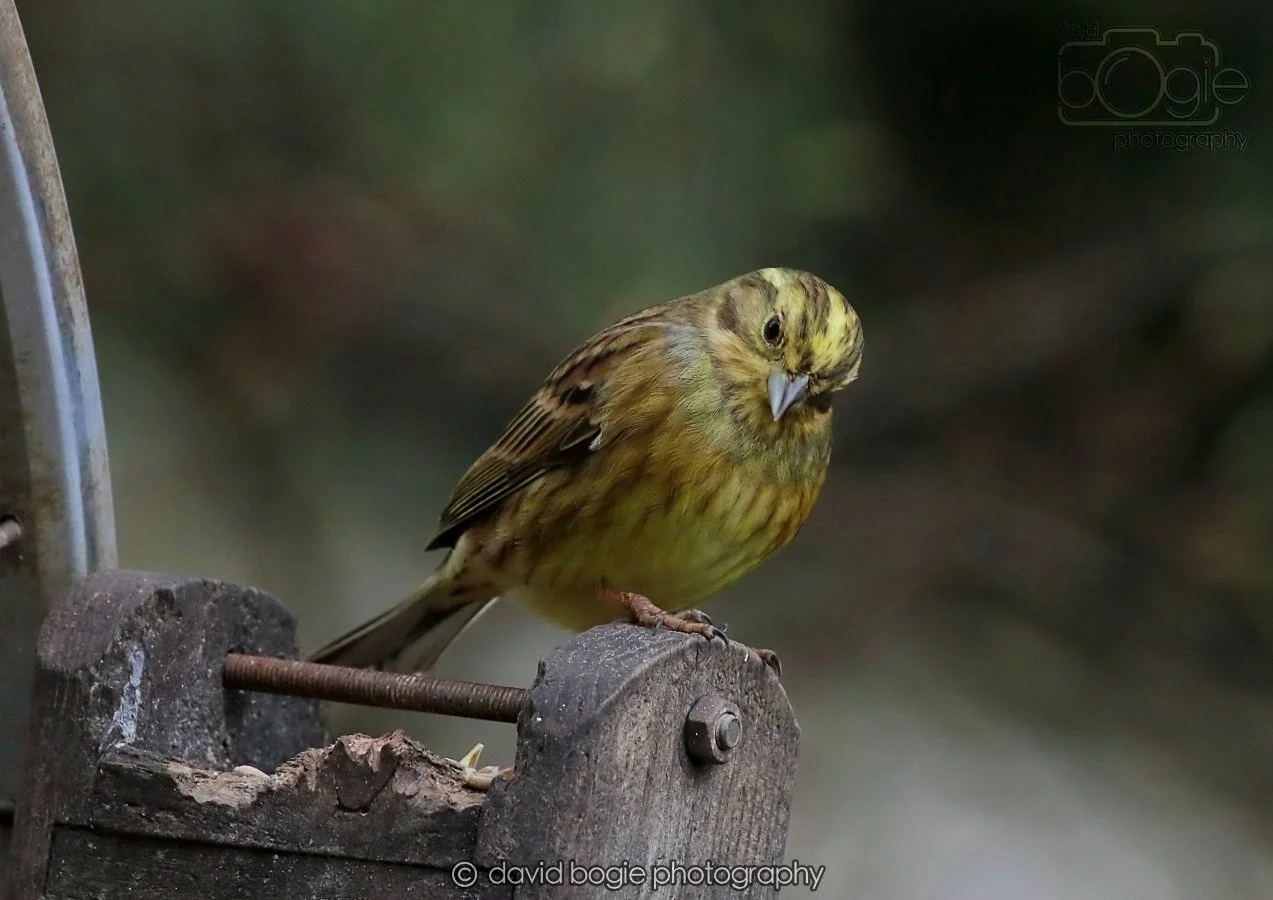 20260215 132617 Silverburn 0207.jpg