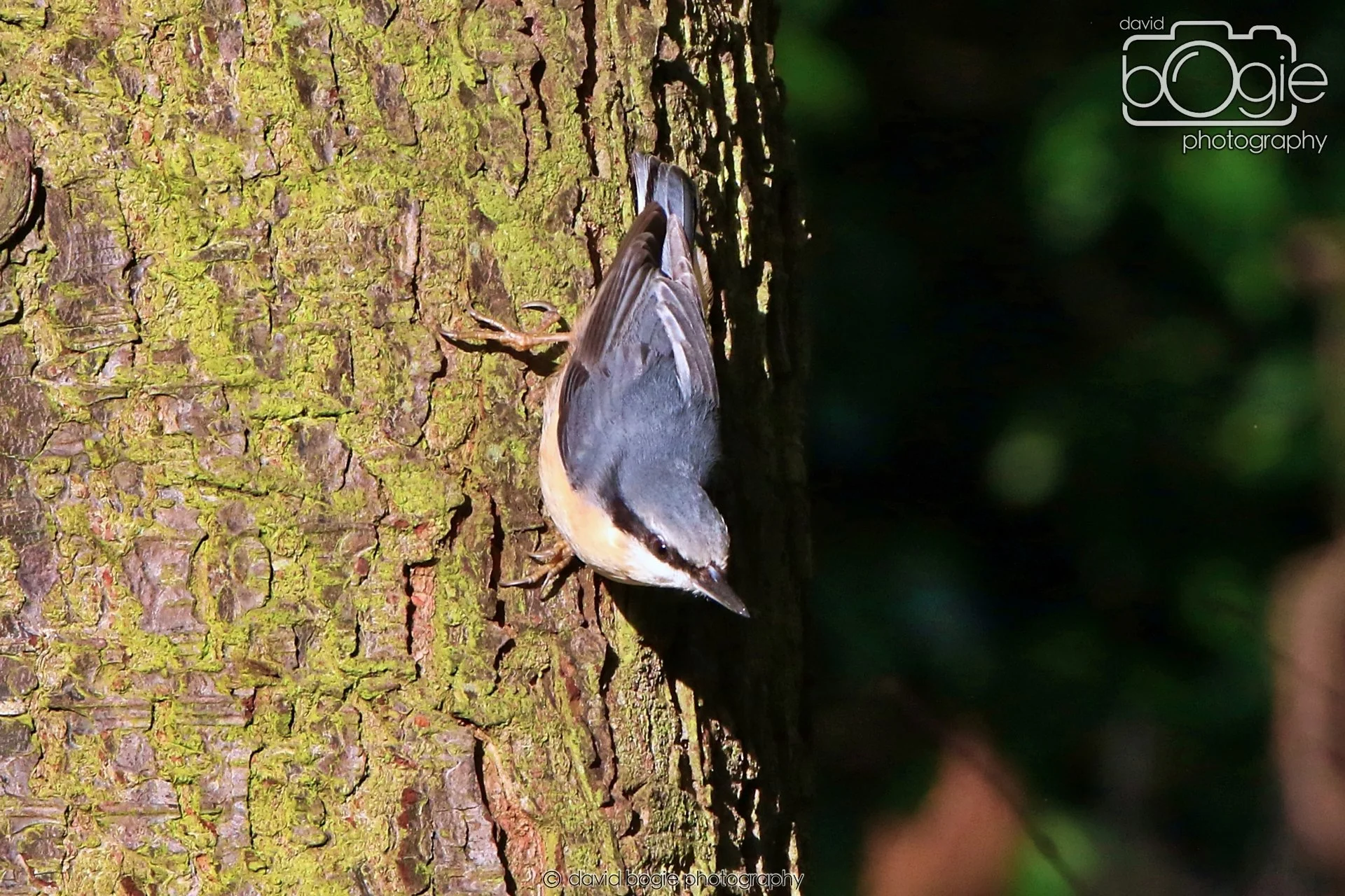 20260128 132513 Dunnikier 0173.JPG