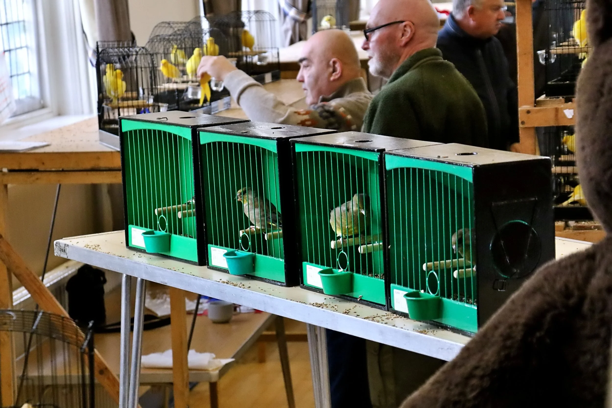 20251102 110819 Markinch CBS  0370.JPG